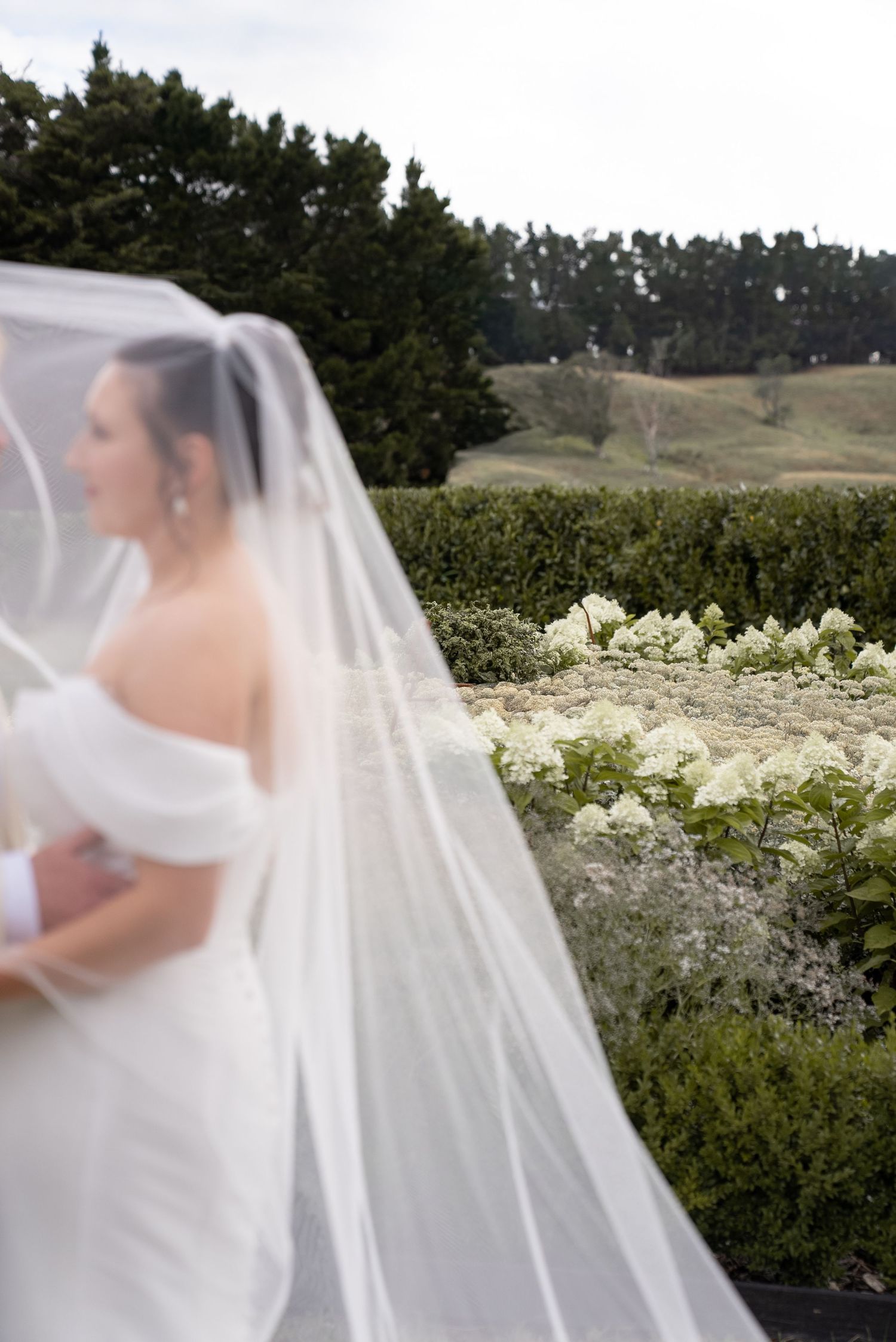 Bride in white gown and flowing veil stands in lush garden with green hedges and white hydrangeas on her wedding day.