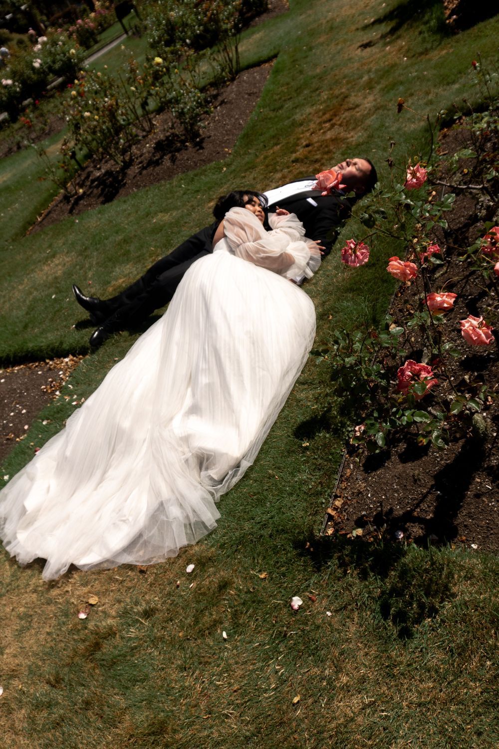 Bride in white gown carries groom in tuxedo near rose garden on wedding day.