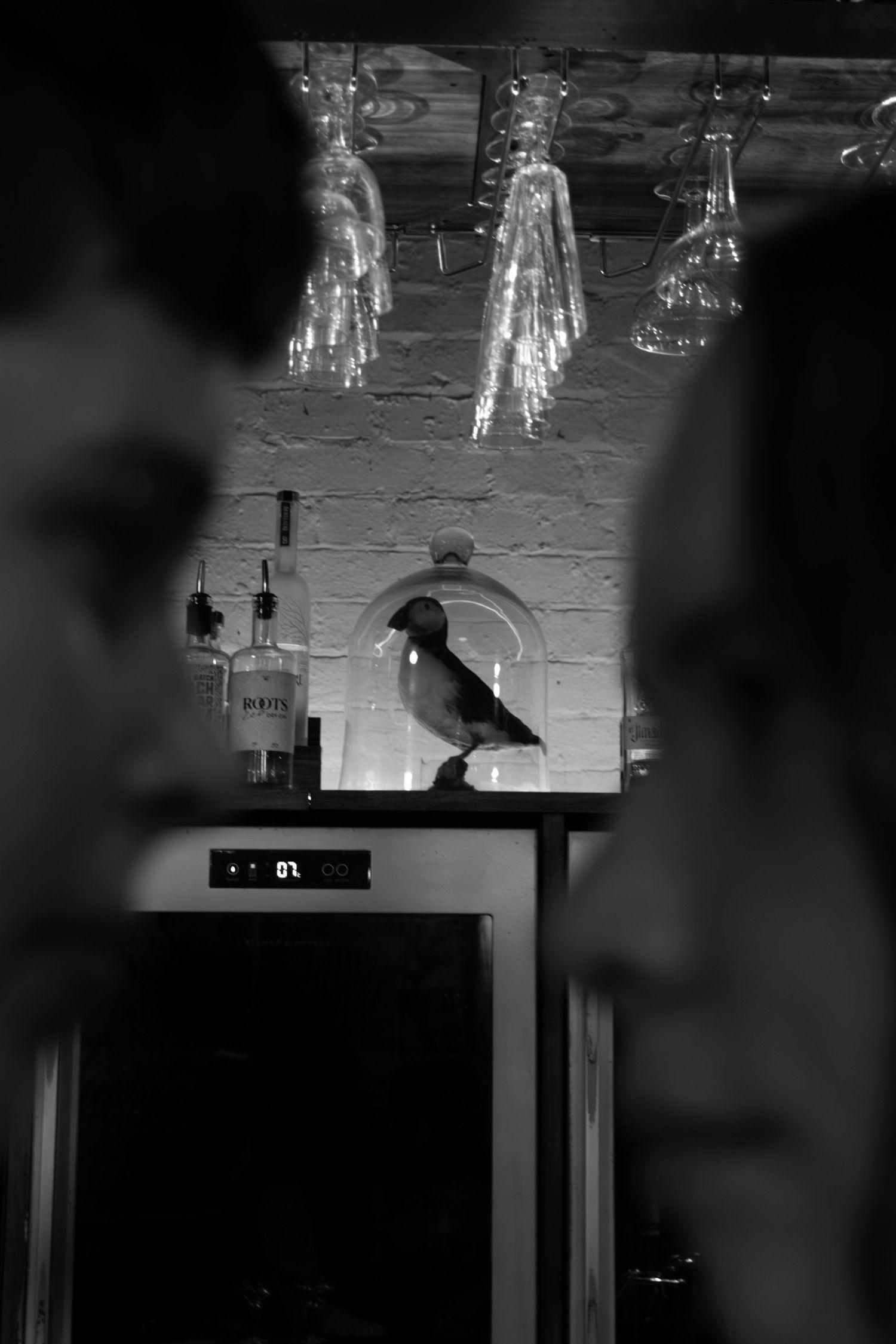 Black and white photo of a puffin bird perched on a bar counter with hanging glasses and liquor bottles.
