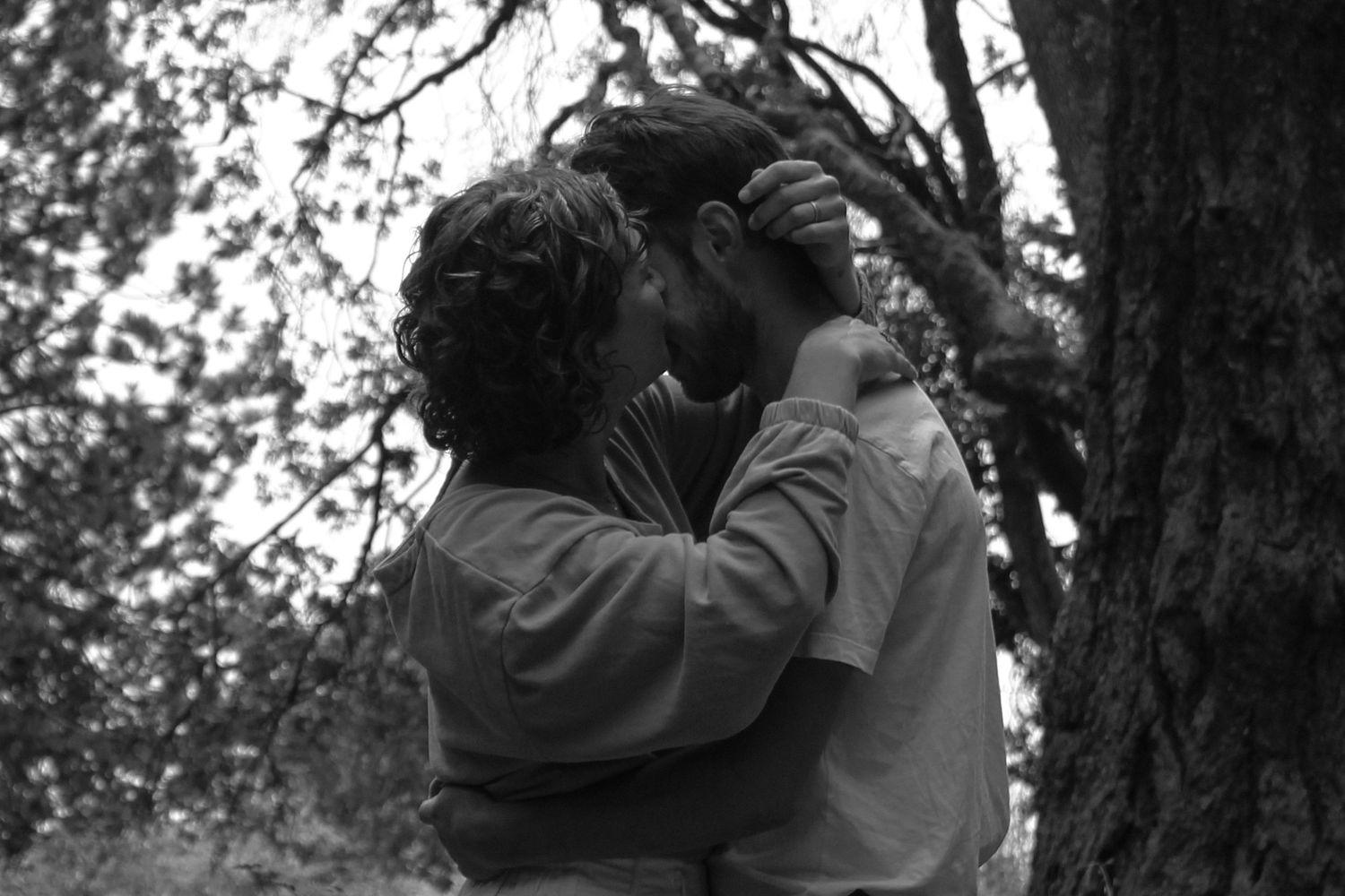 Silhouetted couple embraces near tree trunks in moody lighting.