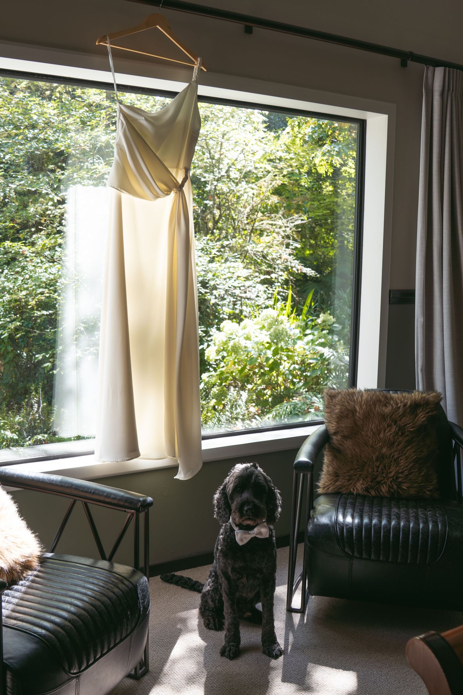 A black dog wearing a bow tie sits beside a leather chair with a wedding dress hanging in a sunlit window.