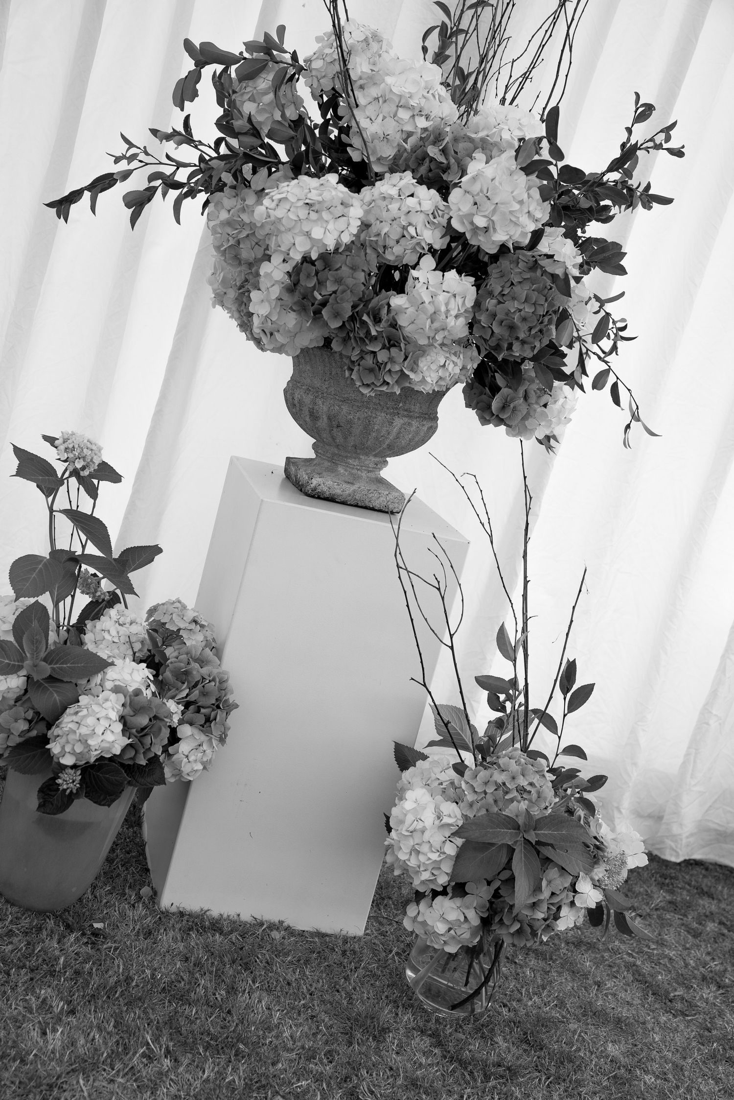 Black and white photo of elegant floral arrangements with hydrangeas in an ornate urn on a white pedestal outdoors.
