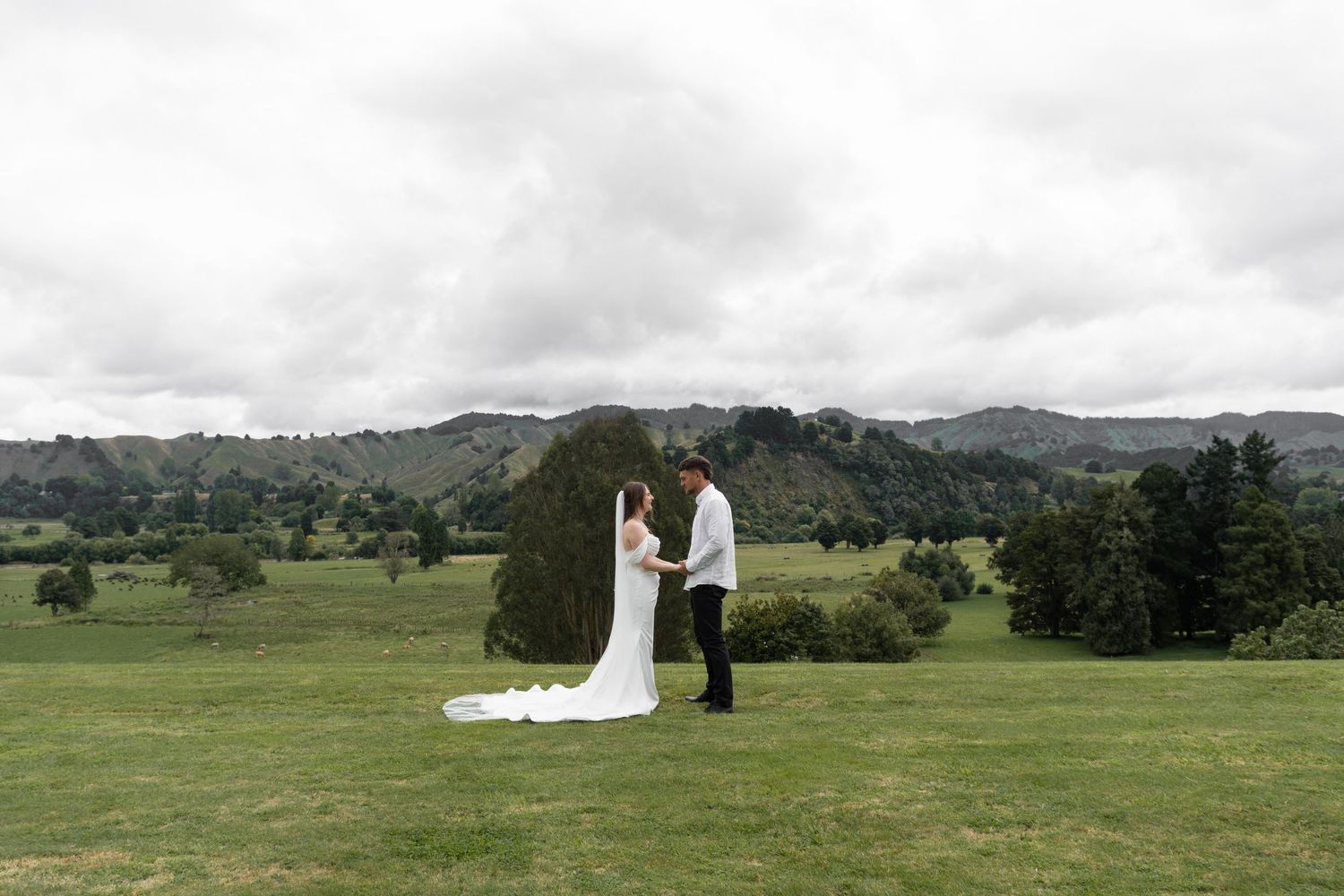Bride and groom holding hands on lush green lawn with scenic mountain backdrop on their wedding day.