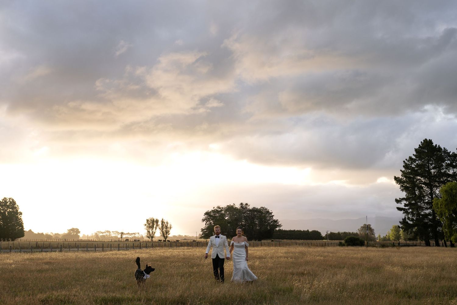 Couple walks through golden field at sunset with dramatic clouds and trees in background.
