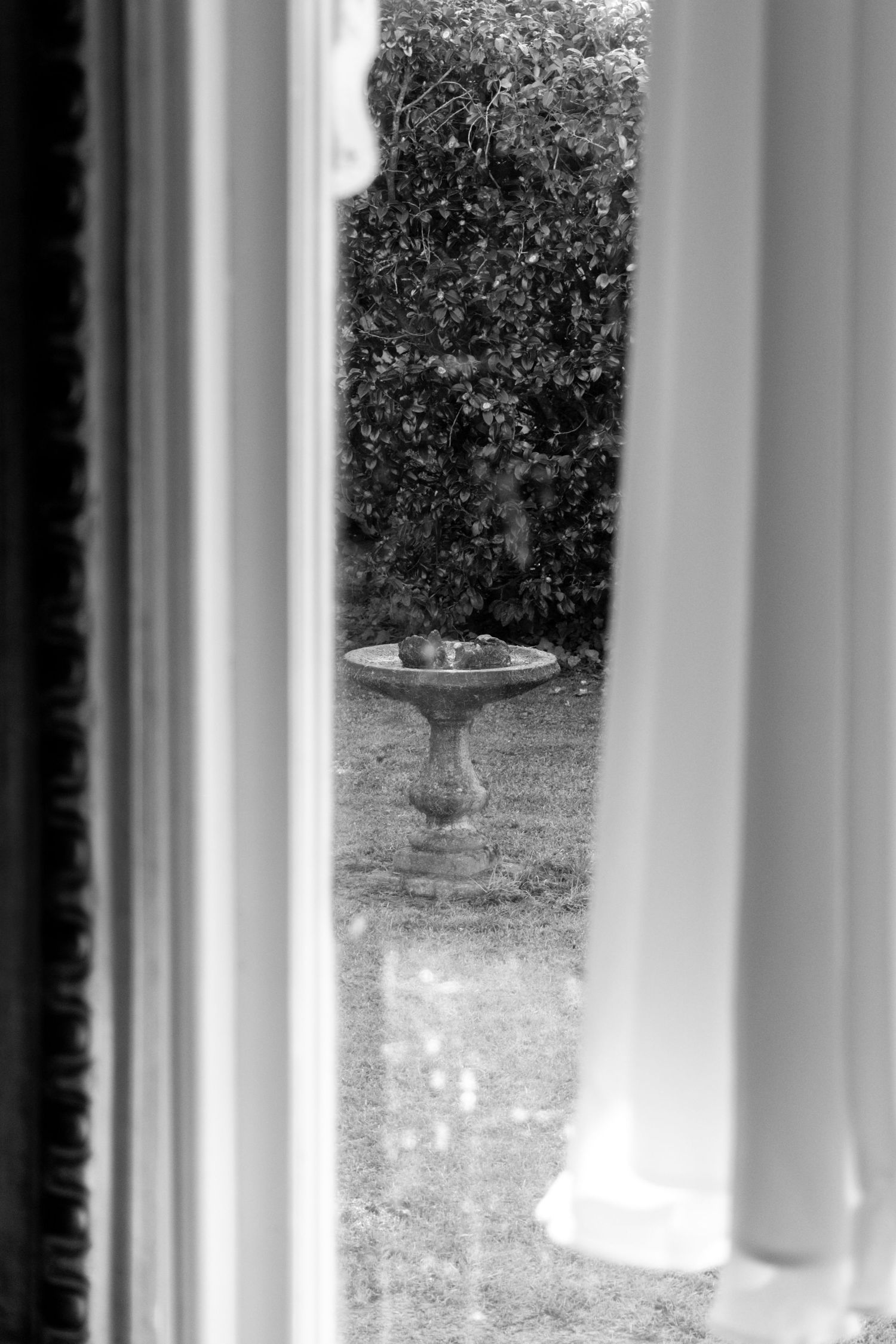 Black and white photo of a stone birdbath in a lush garden, viewed through elegant white columns.