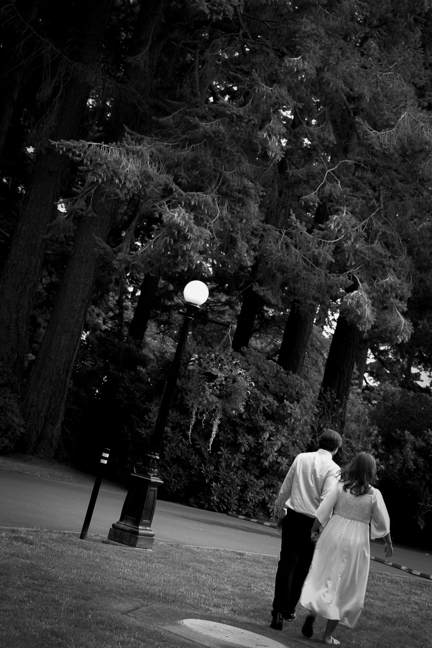Couple walks through park at dusk with lantern-lit trees in background.