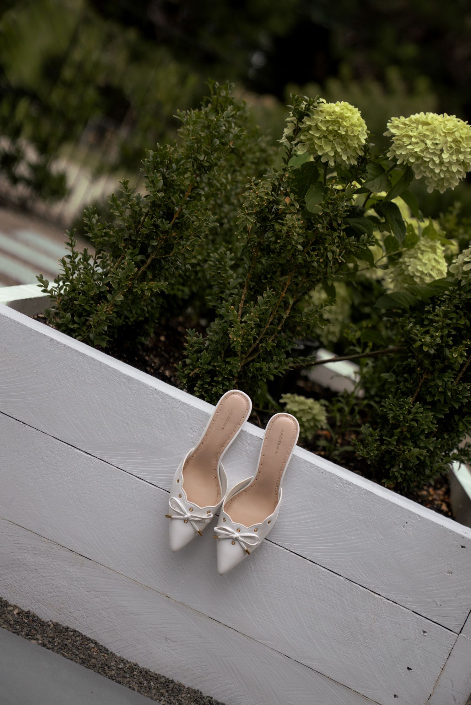 Elegant white pointed-toe mule heels with bow detail displayed on a white planter box with green hydrangeas.