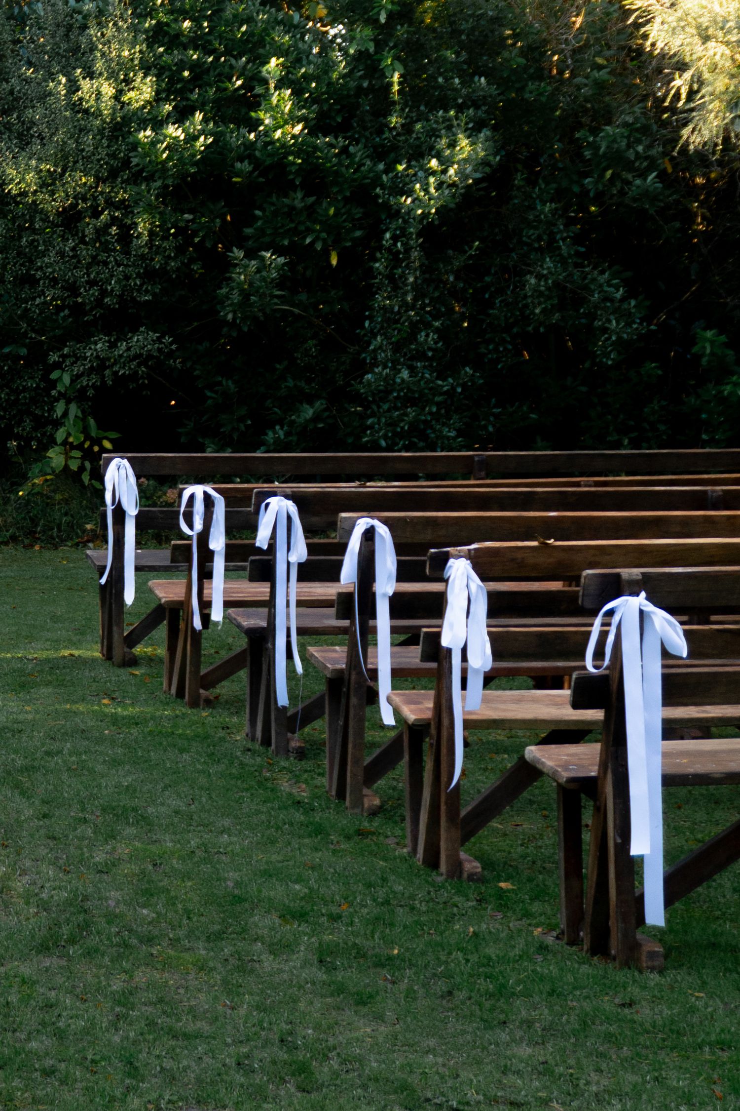 Wooden outdoor wedding ceremony benches adorned with white ribbon bows on green grass surrounded by lush trees.