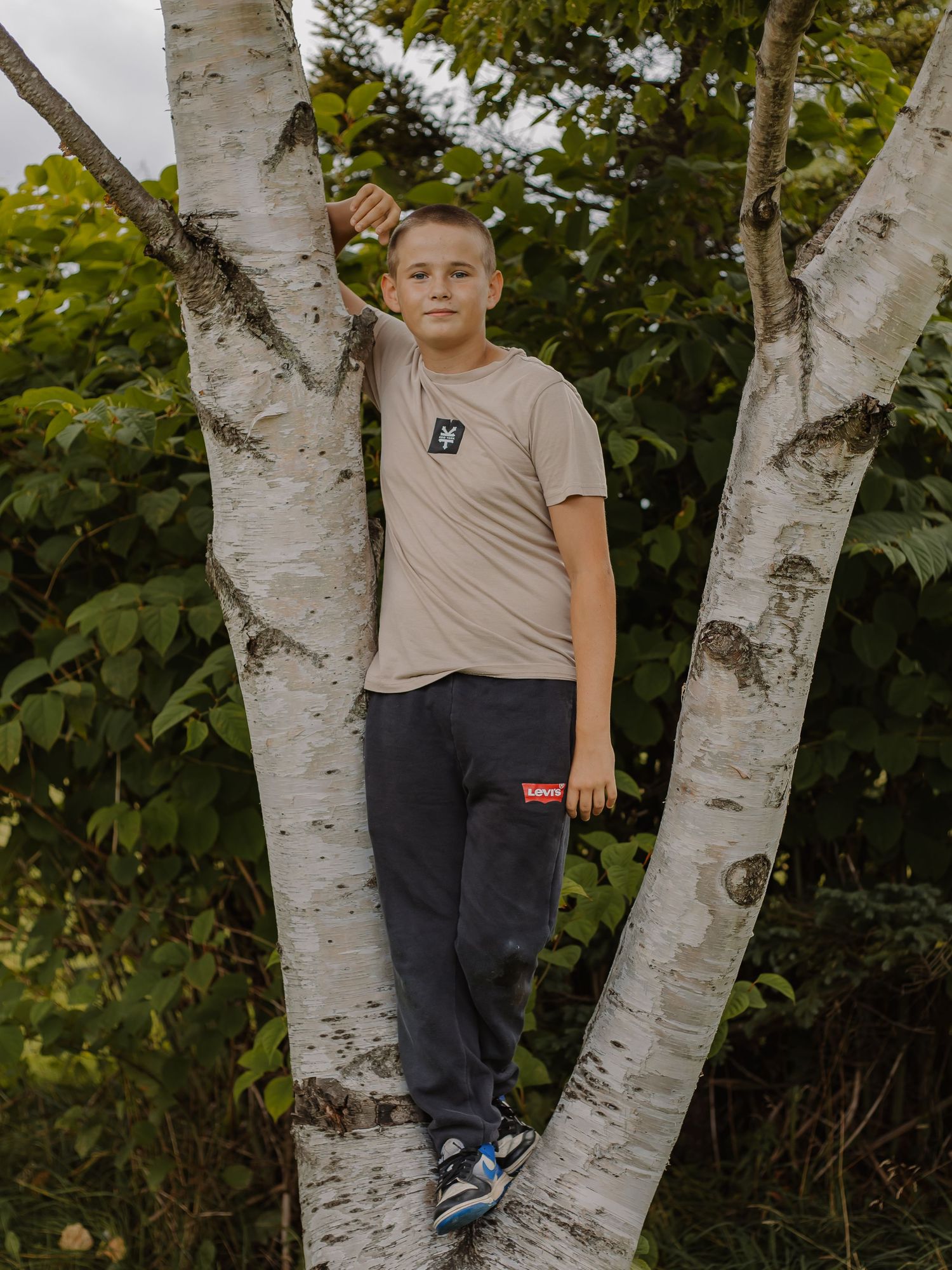 A young boy poses in a tree.
