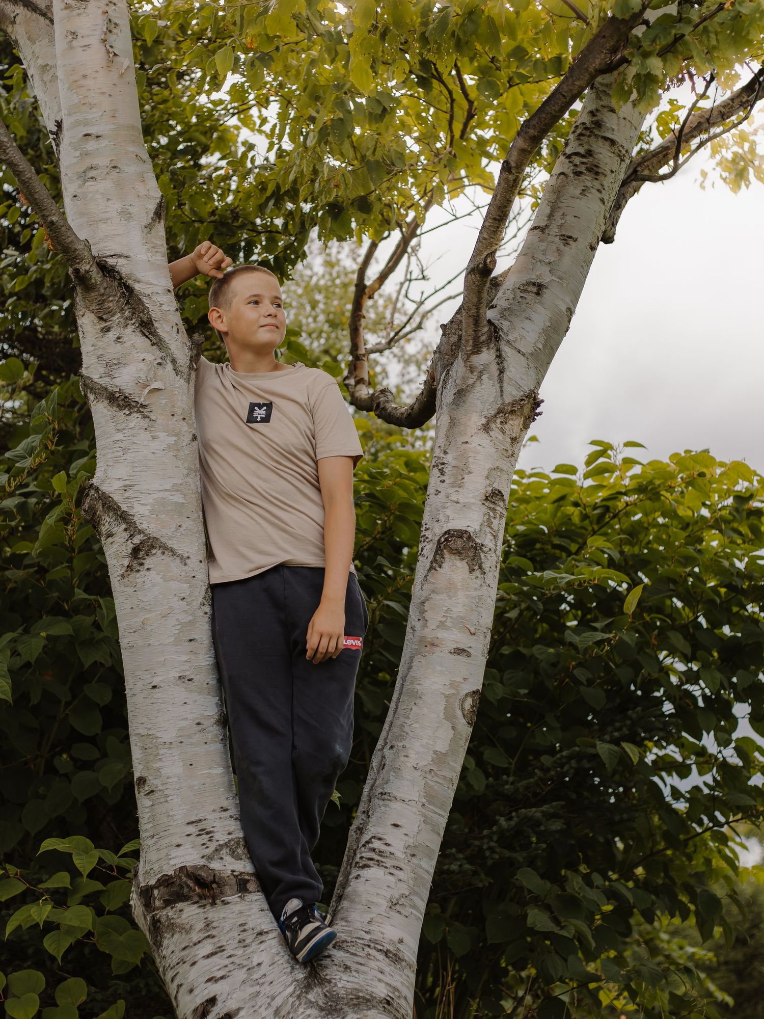 A young boy poses in a tree and looks into the distance.