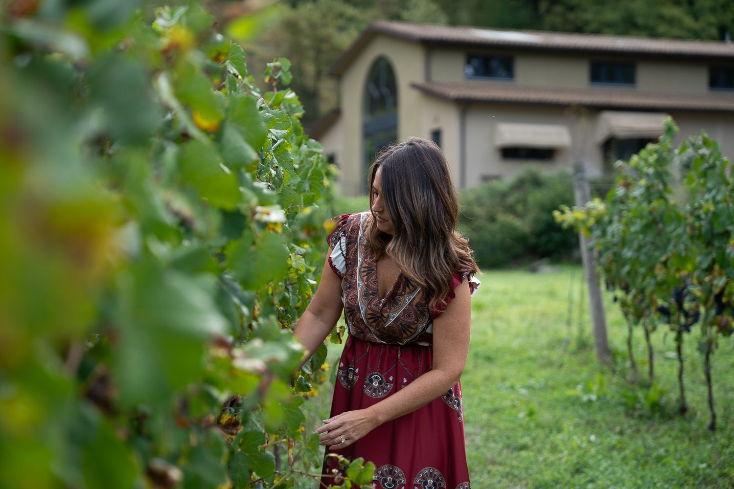 A person wearing a red dress picks fresh raspberries from bushes in a lush summer garden.