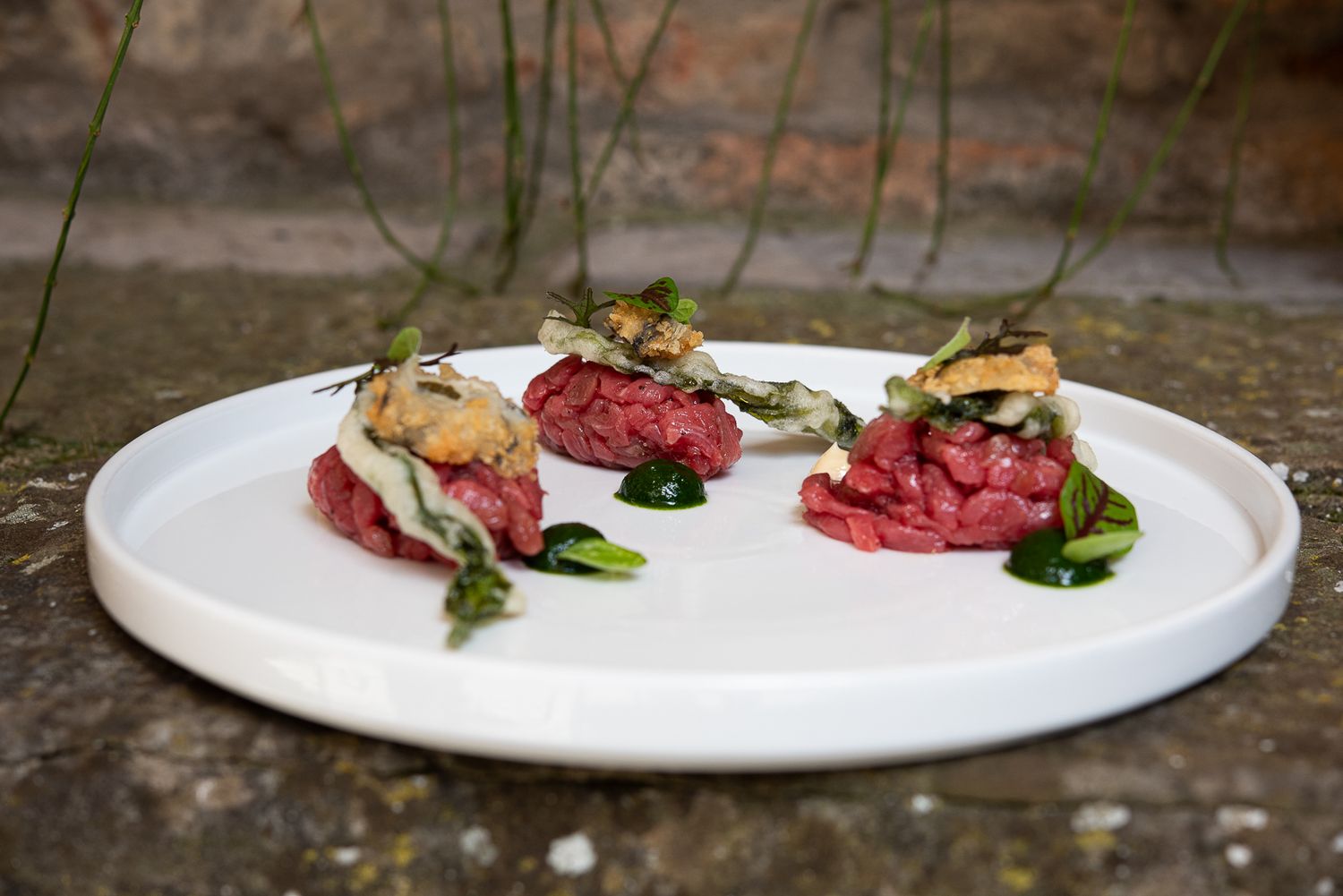 Plated dish with red meat and garnishes being artfully arranged in a sequence of culinary preparation steps.