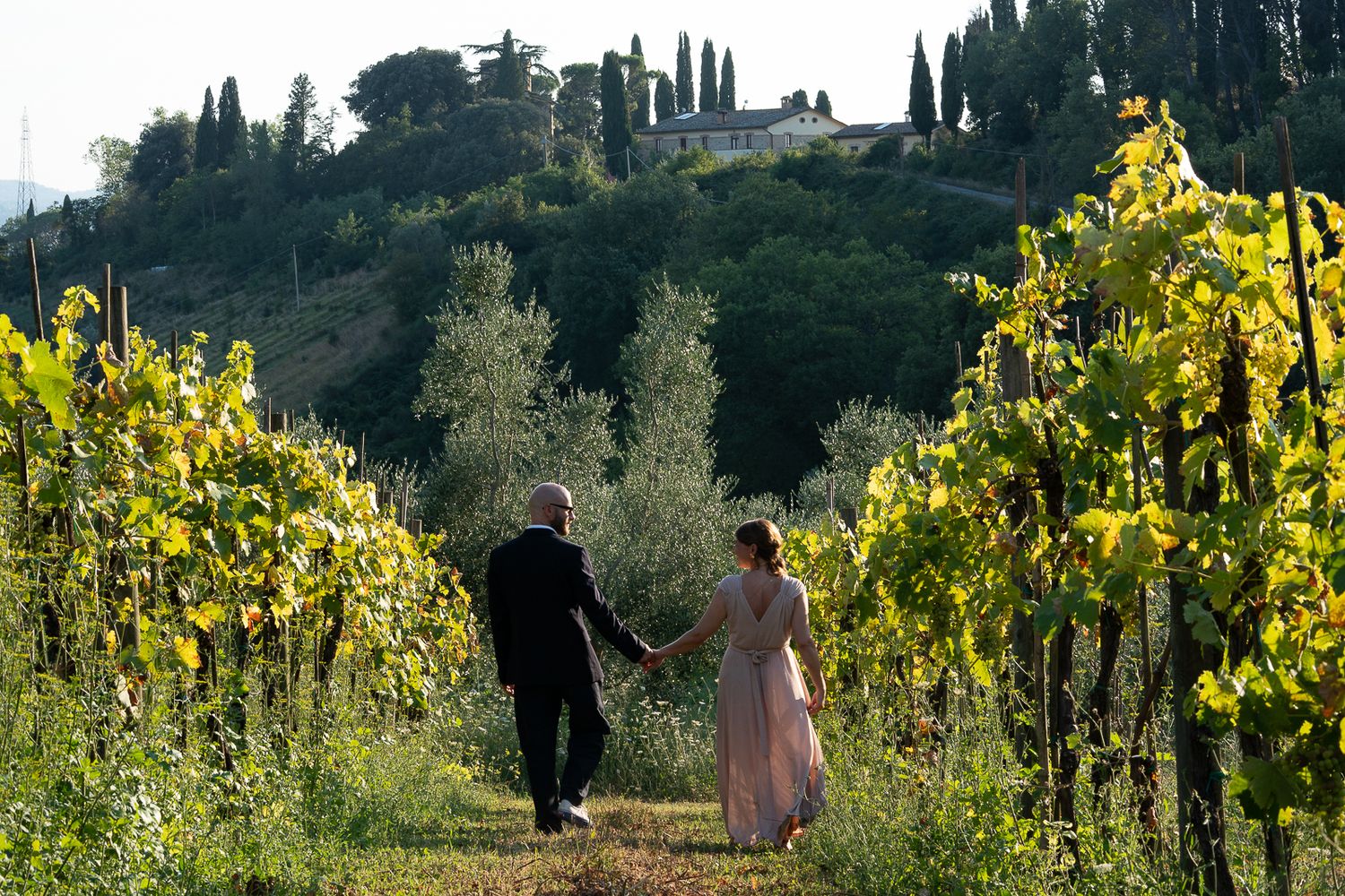 Couple walking through sunlit vineyard rows in Umbria.