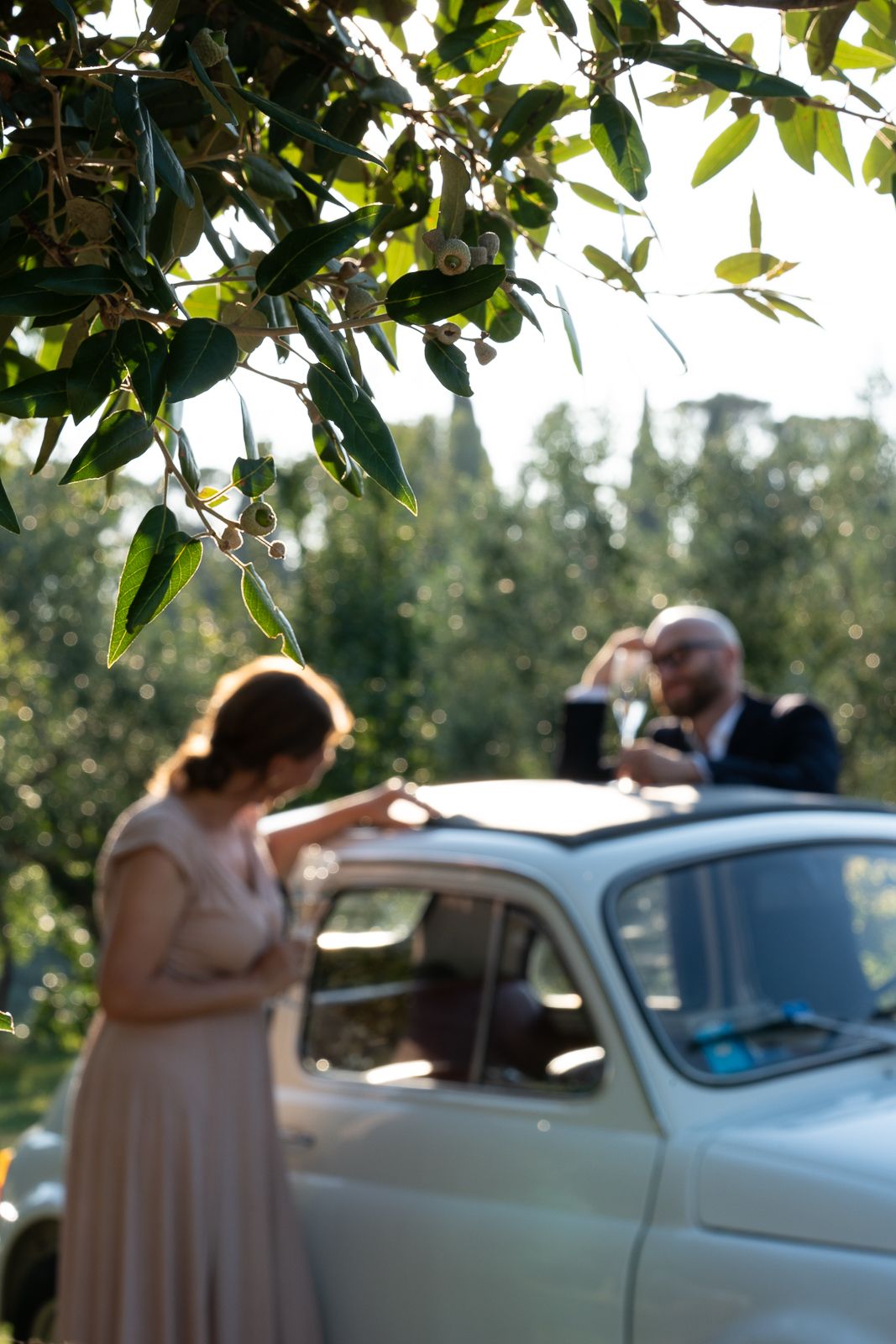 A classic white vintage car parked under olive trees in a sun-drenched Italian garden.