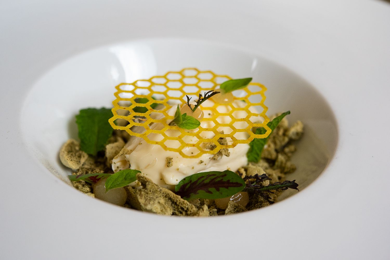 Elegant plated dessert by Chef Giancarlo Polito at Locanda del Capitano in Montone, Umbria