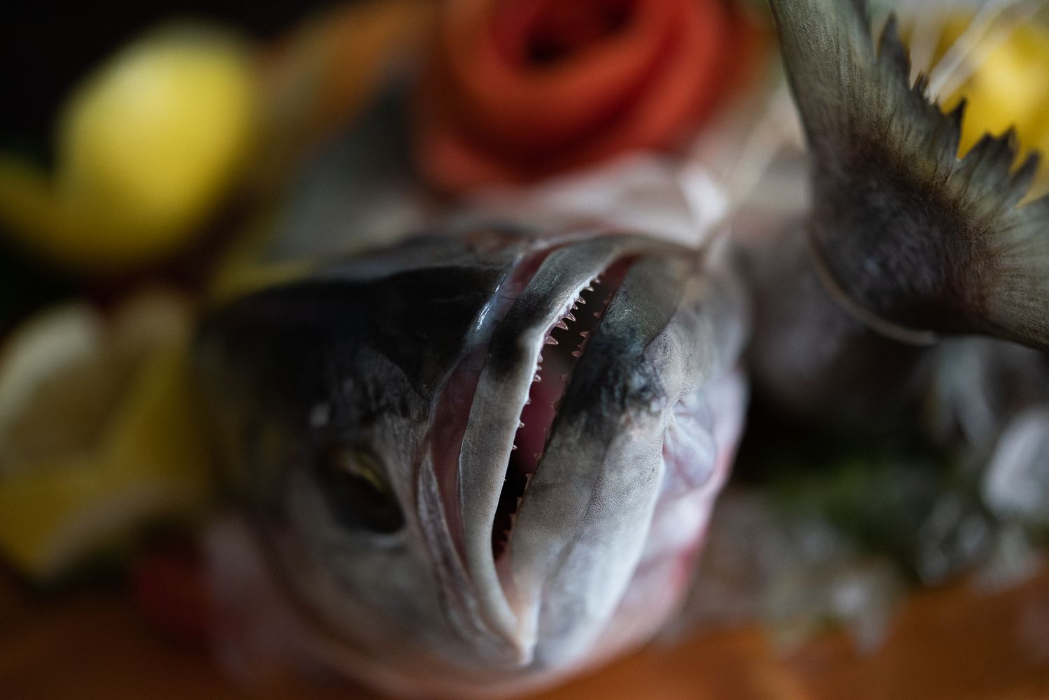 Fresh raw fish fillets arranged in a row on a dark surface.