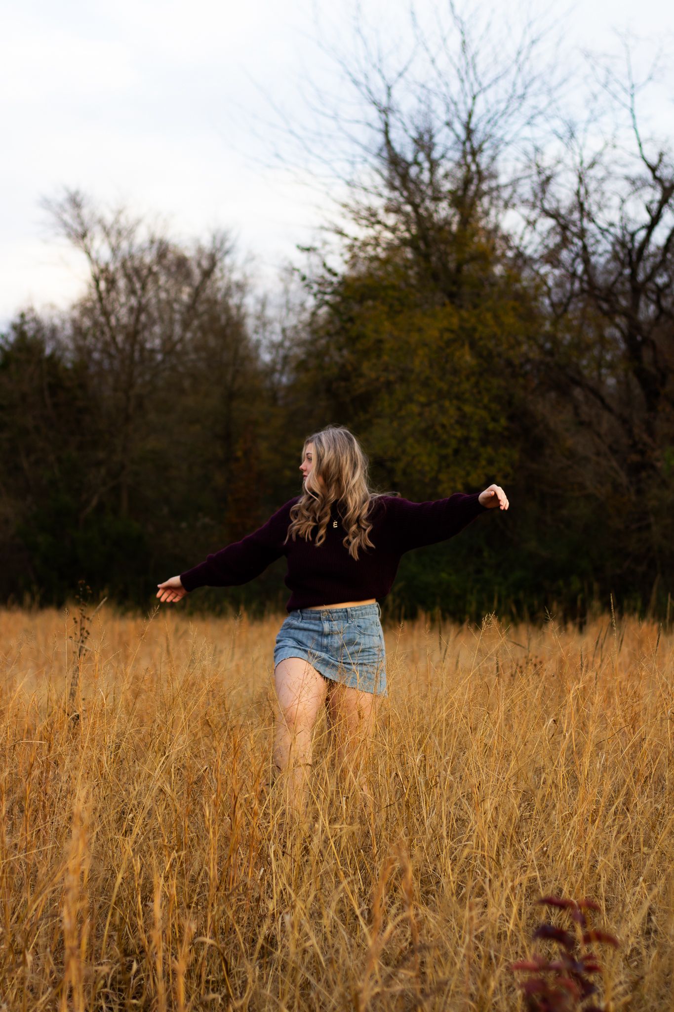 Alexis senior
