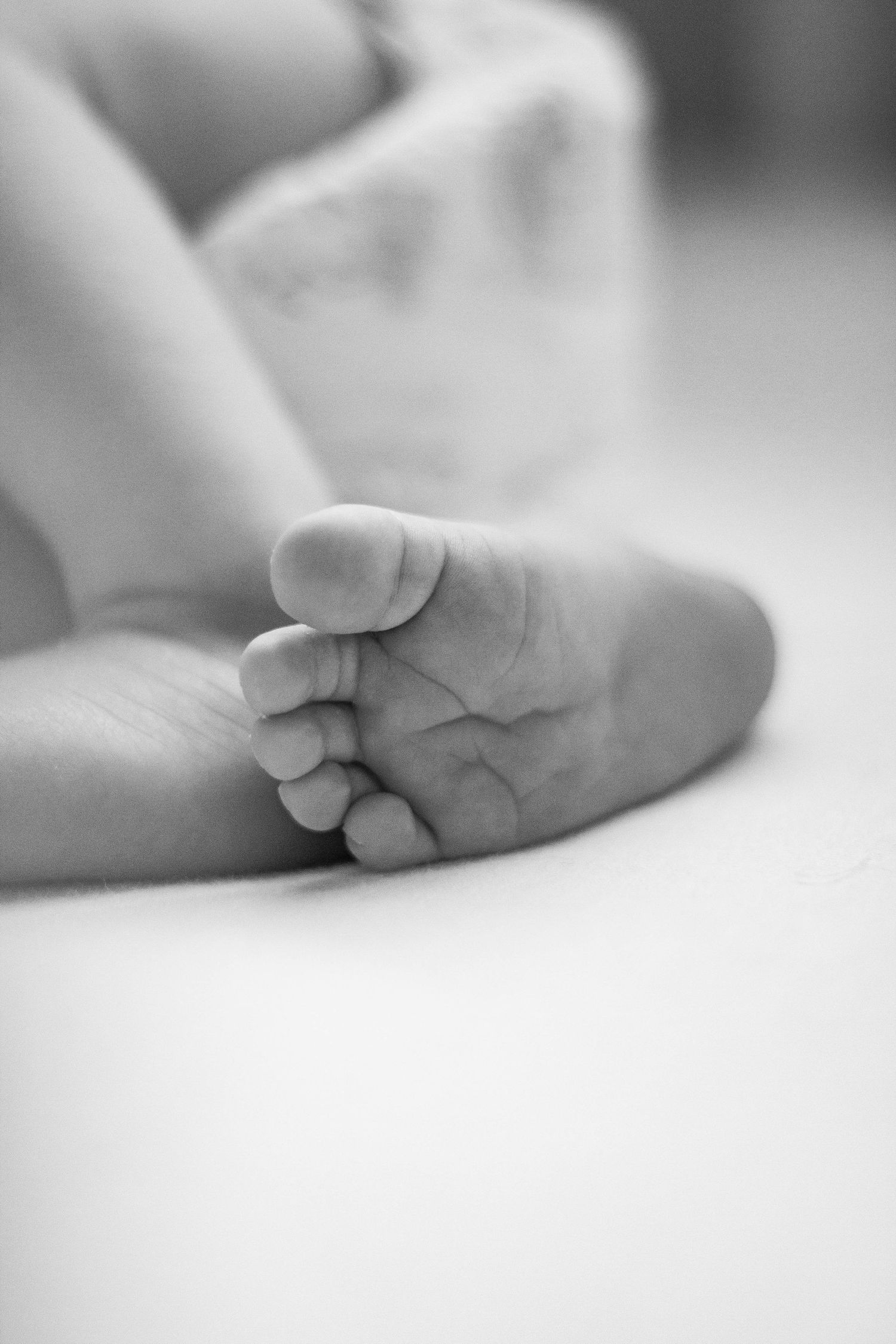 holden newborn
