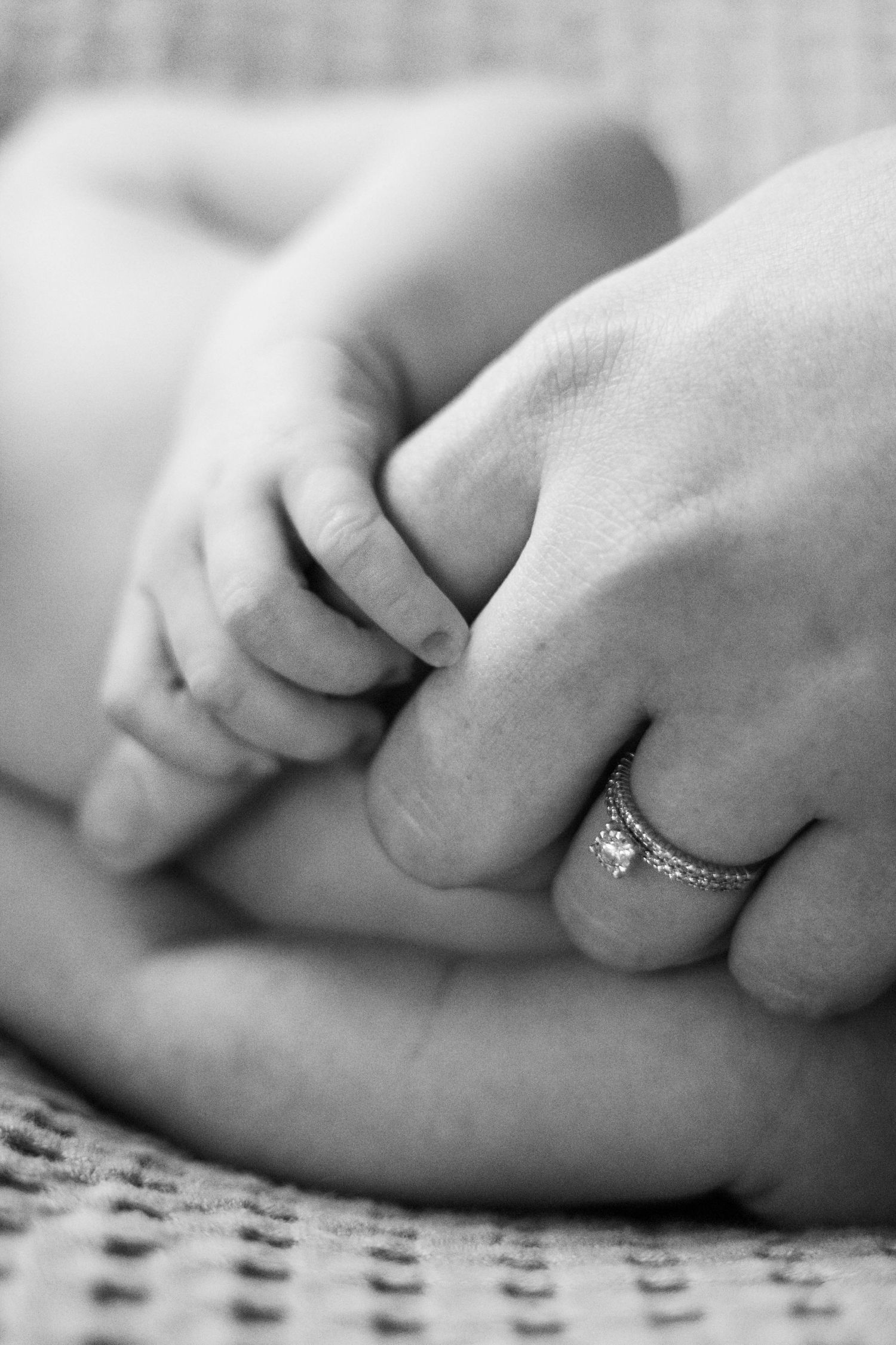 holden new born