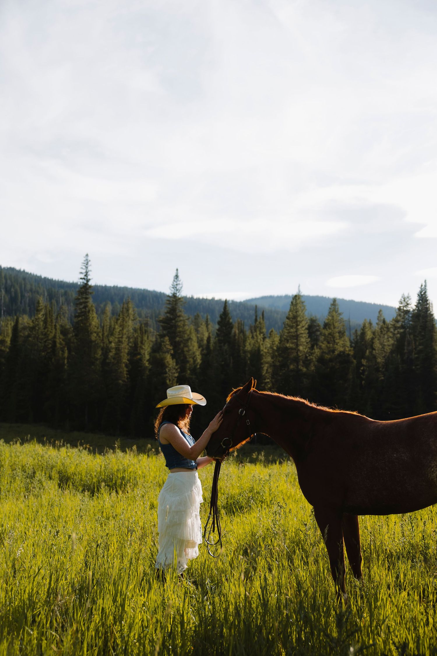 Woman in white skirt and hat gently touching a brown horse in a lush green meadow with pine trees and mountains.
