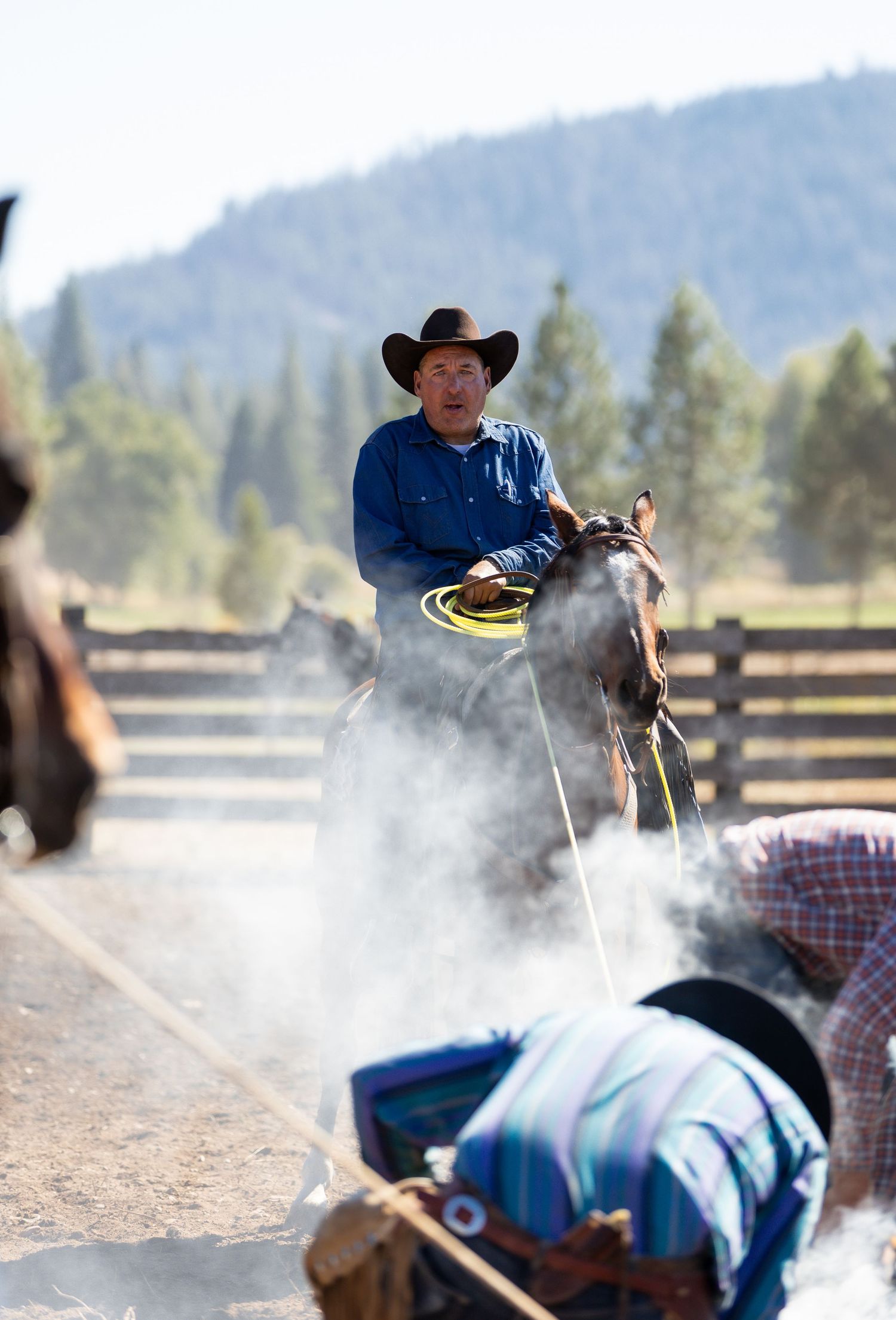 Cowboy roping a calf in a dusty arena with mountains and pine trees in the background.