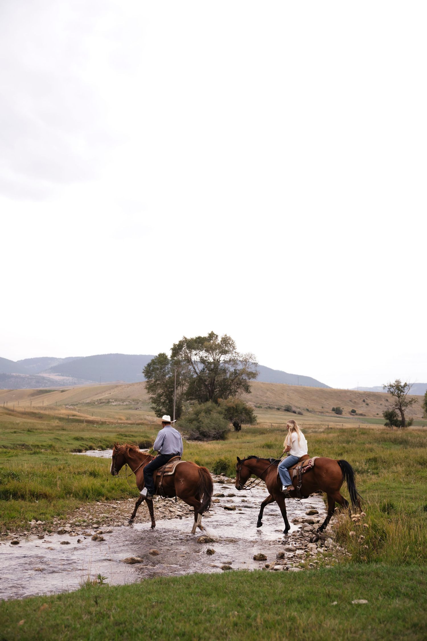 Horses crossing a stream with riders in a scenic mountain valley.