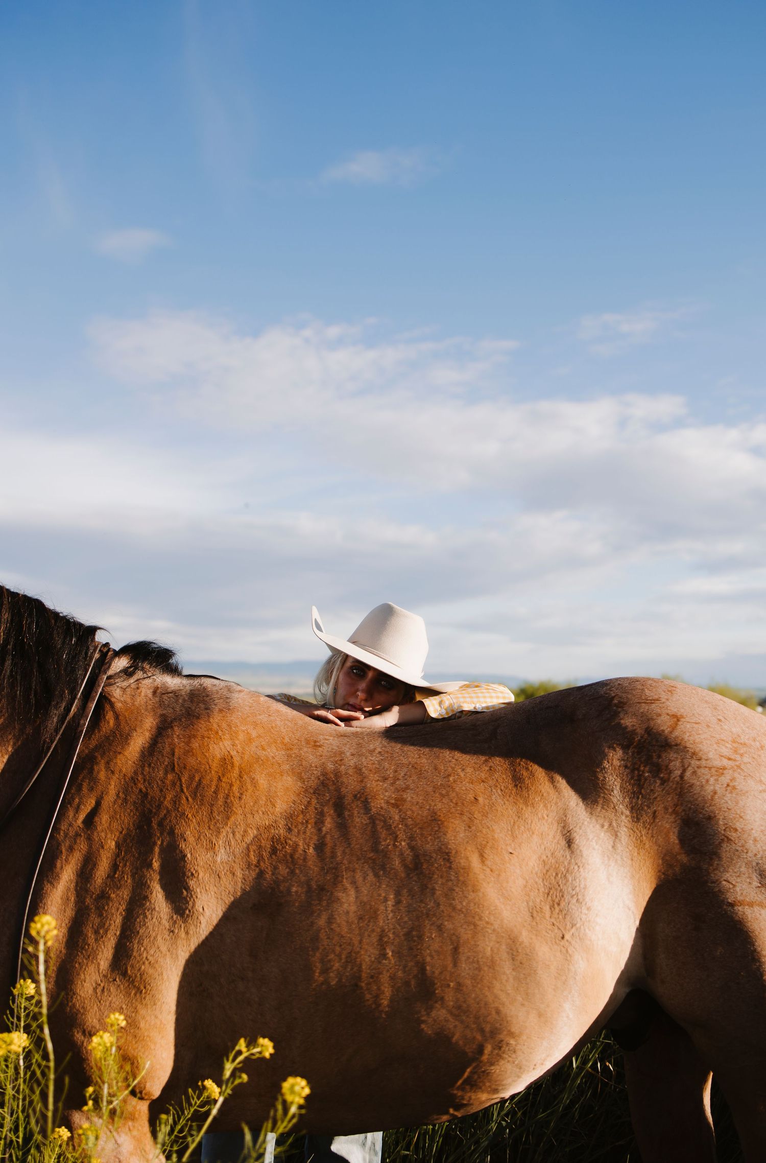 A cowboy in a white hat leans over a brown horse in a sunny field with yellow wildflowers and blue sky.