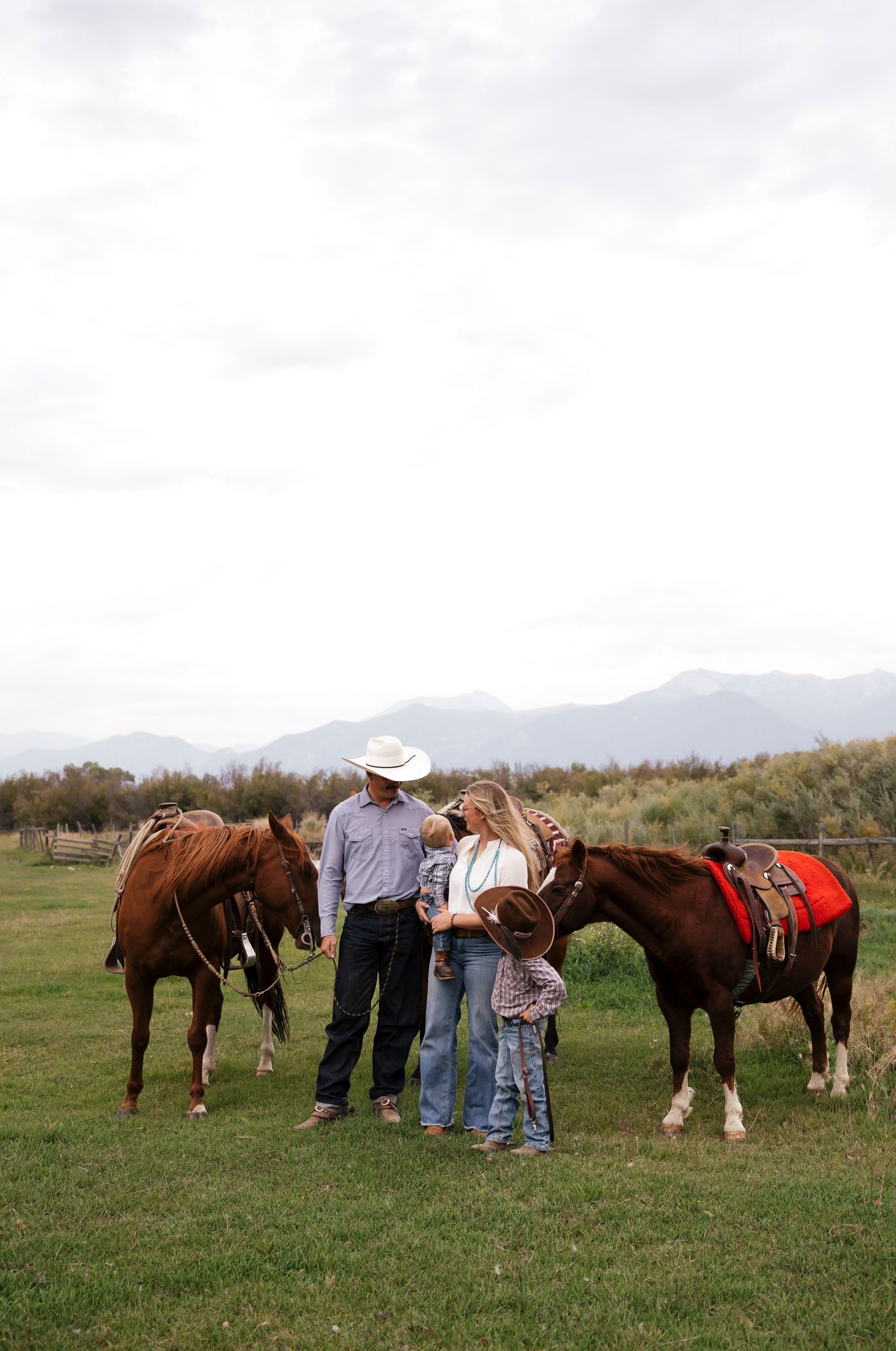 Group of horses and a family gathered in a grassy field with mountains in the distance.