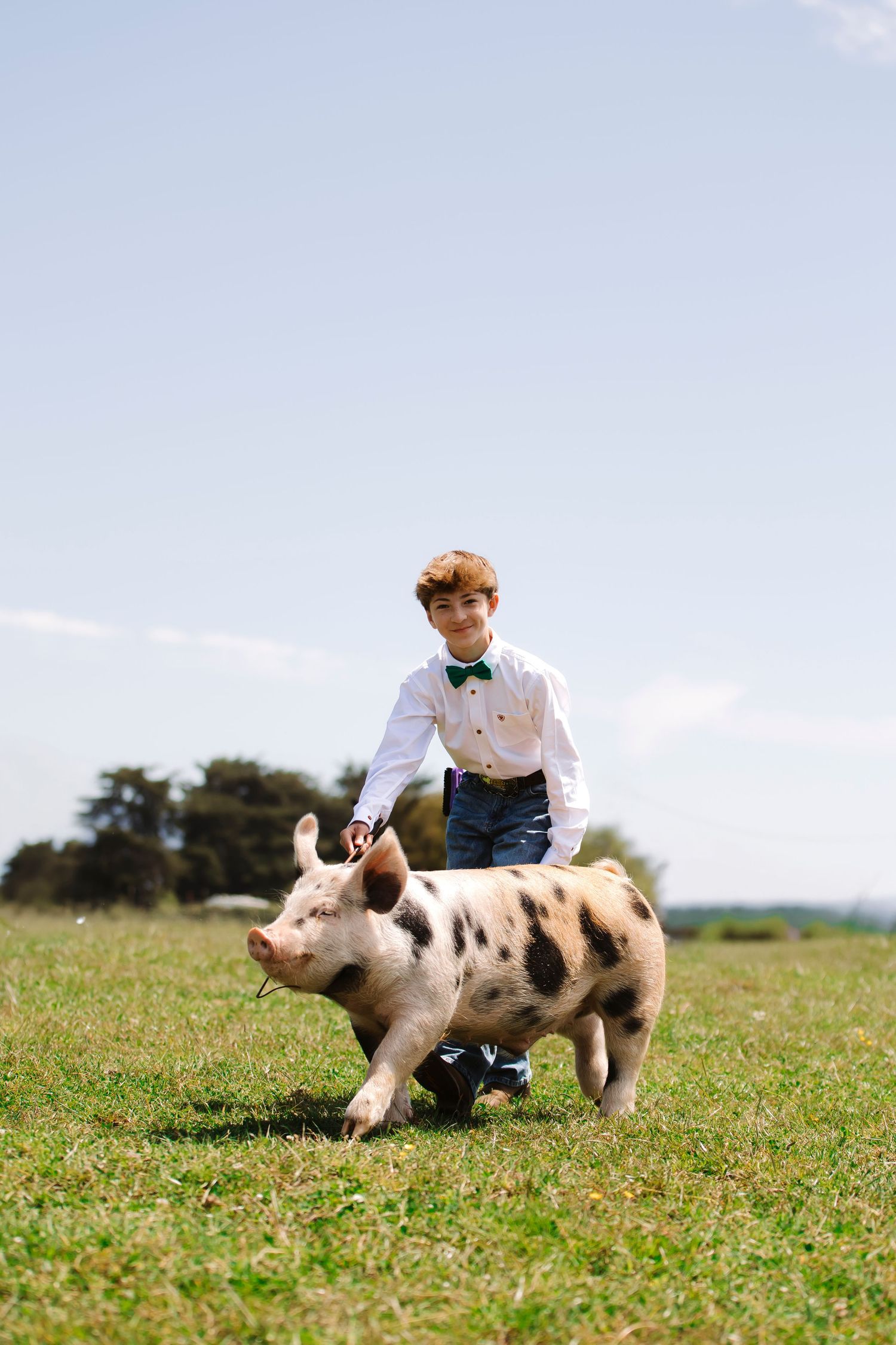 Person plays with spotted piglets in a grassy field on a sunny day.