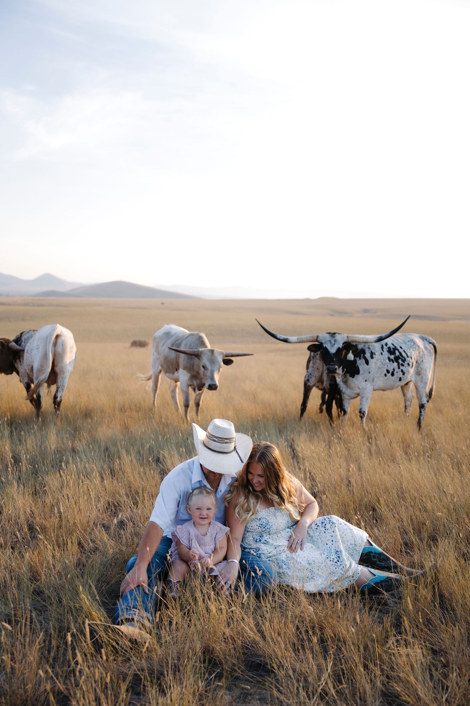 Family relaxing in tall grass with longhorn cattle grazing in the background.