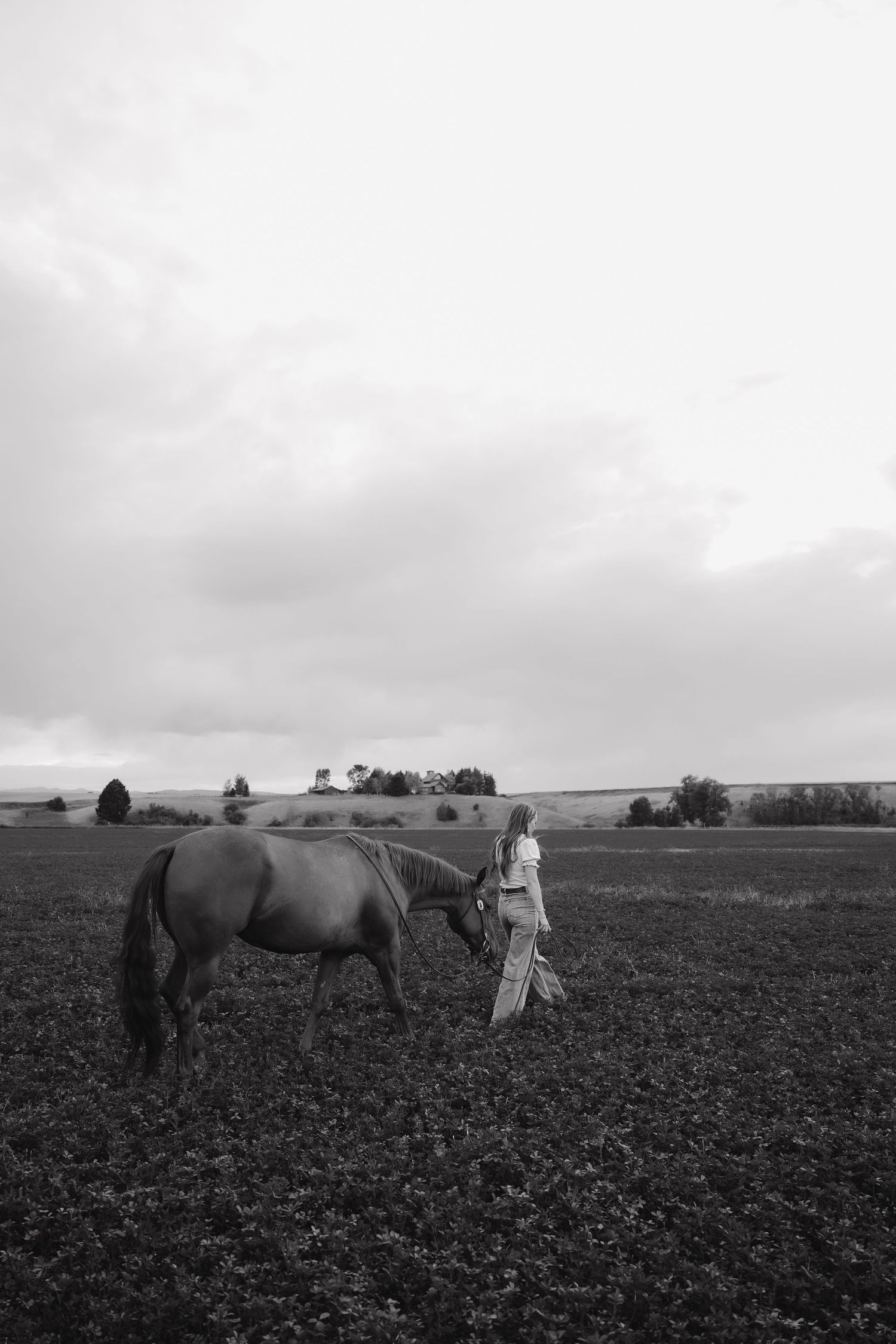 Black and white photograph of a horse grazing in a plowed field on an overcast day.