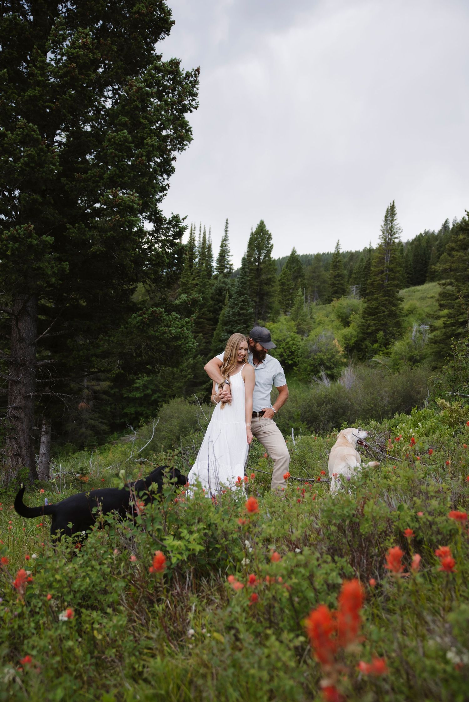 Couple in wedding attire with two dogs among wildflowers and evergreen trees in a mountain meadow.