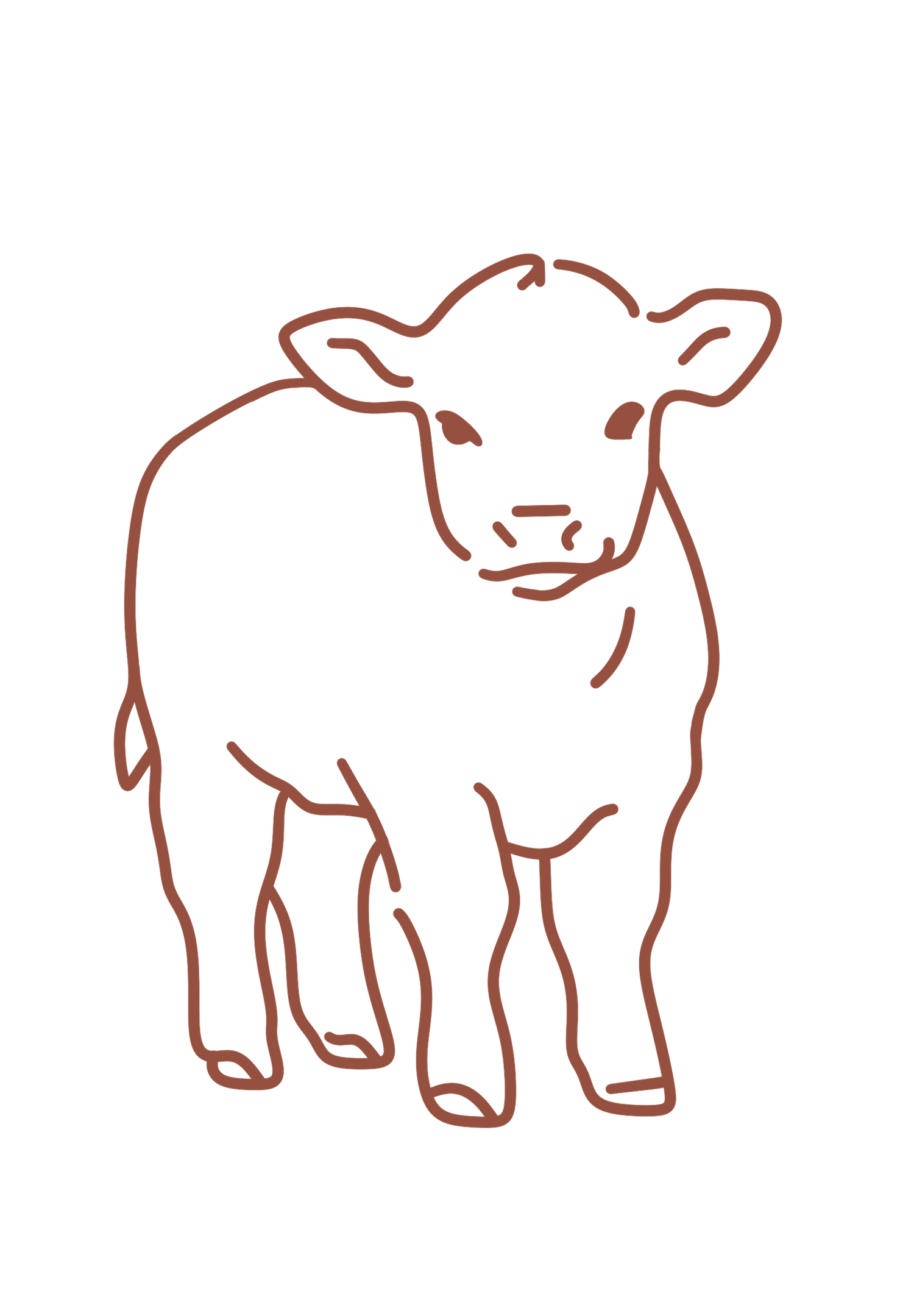 Calf graphic for Lexi Avila Photography western branding