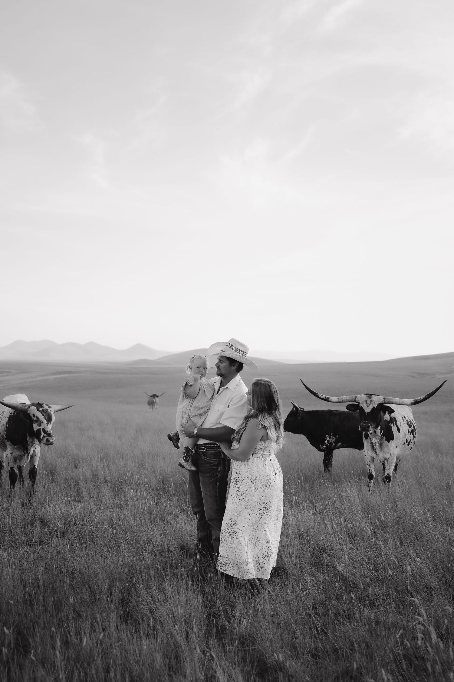 A couple poses in a field with longhorn cattle grazing in the background.