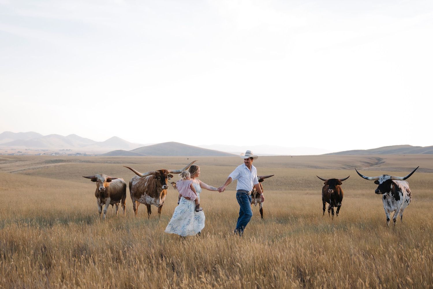 Couple in western attire walks hand-in-hand through golden fields with longhorn cattle and mountain backdrop.