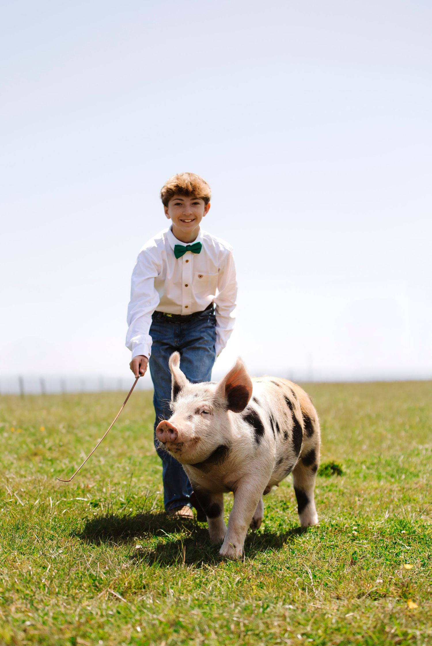A pink and black spotted pig being walked on a leash through a grassy field.