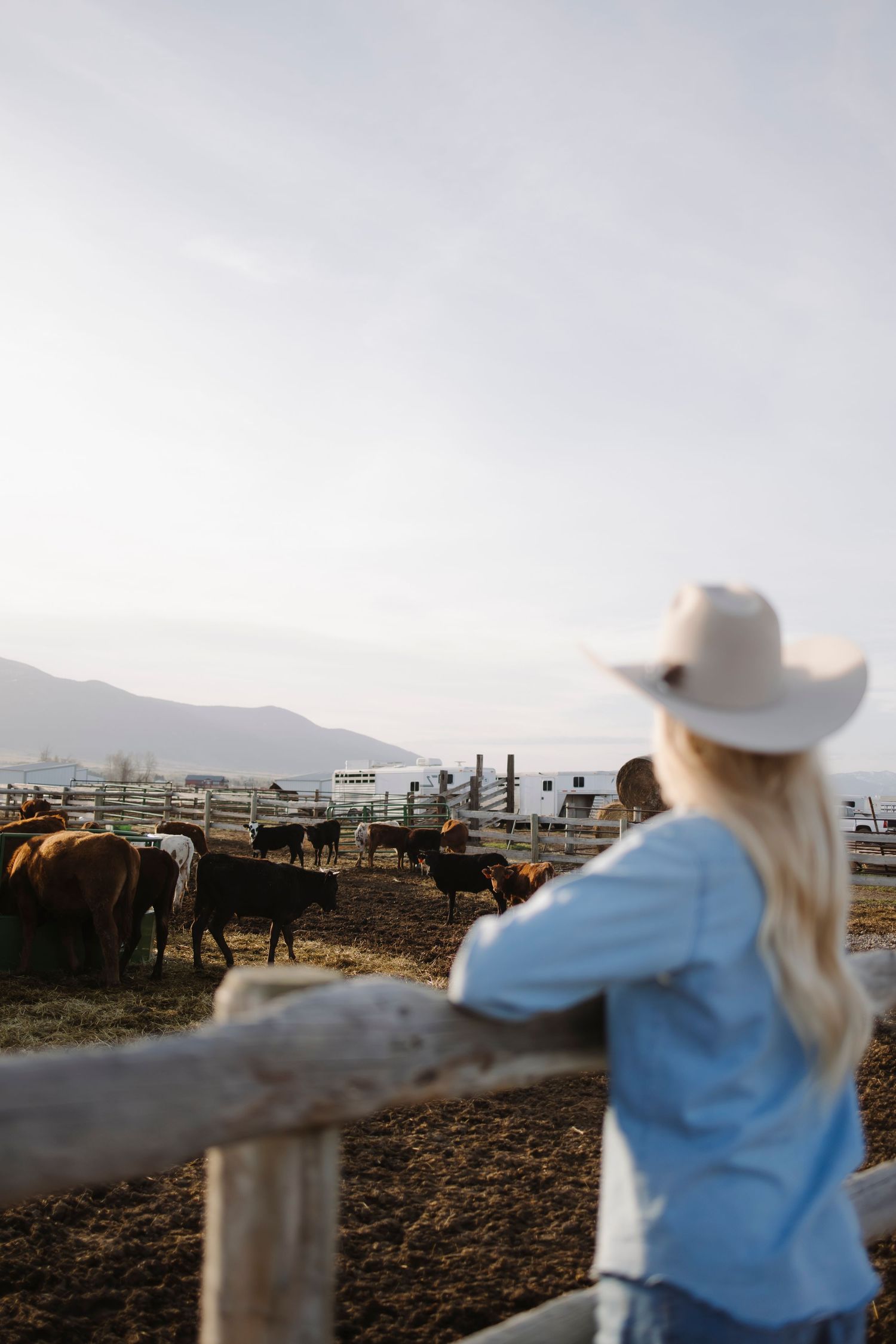 Blonde woman in white cowboy hat and blue shirt leaning on wooden fence overlooking cattle on a ranch.