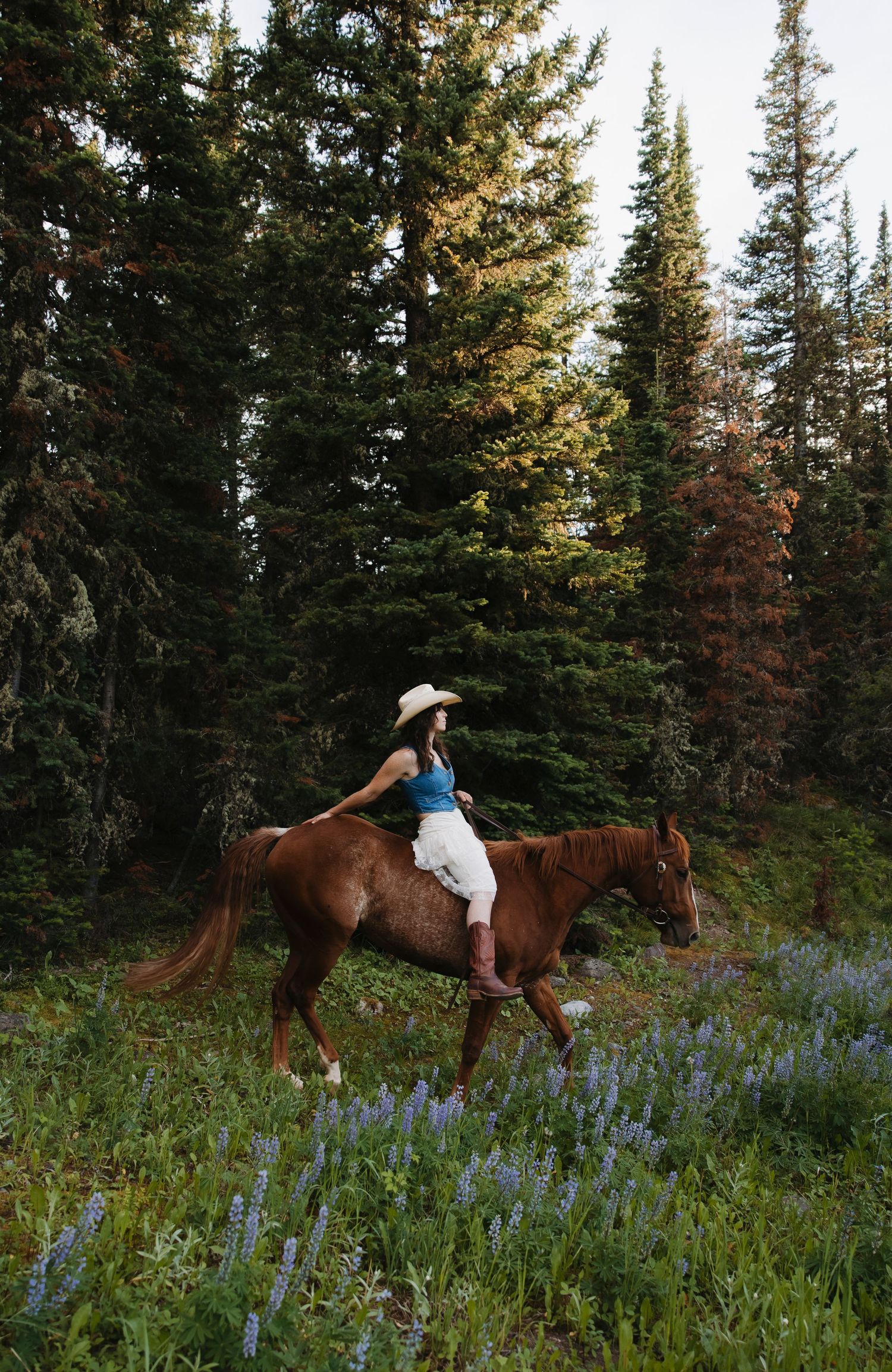 Woman in cowboy hat riding chestnut horse through wildflower meadow surrounded by pine forest.