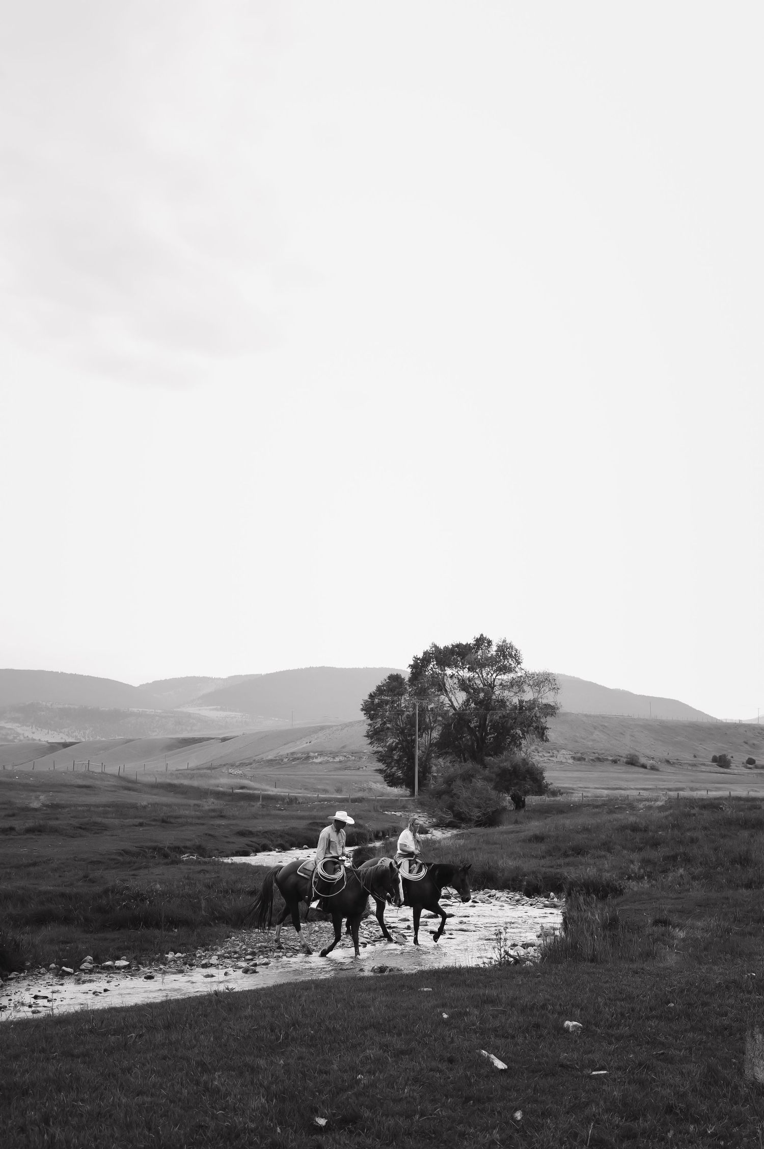 Horseback riders traversing across a rolling hillside in black and white.