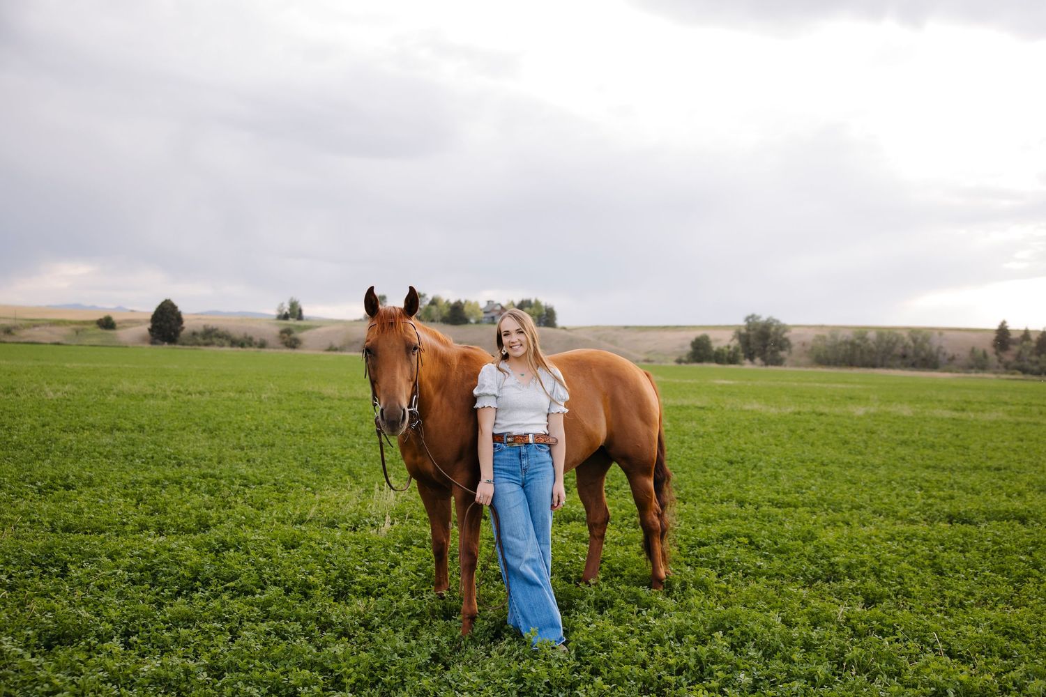 A brown horse grazes in a lush green field under an overcast sky.
