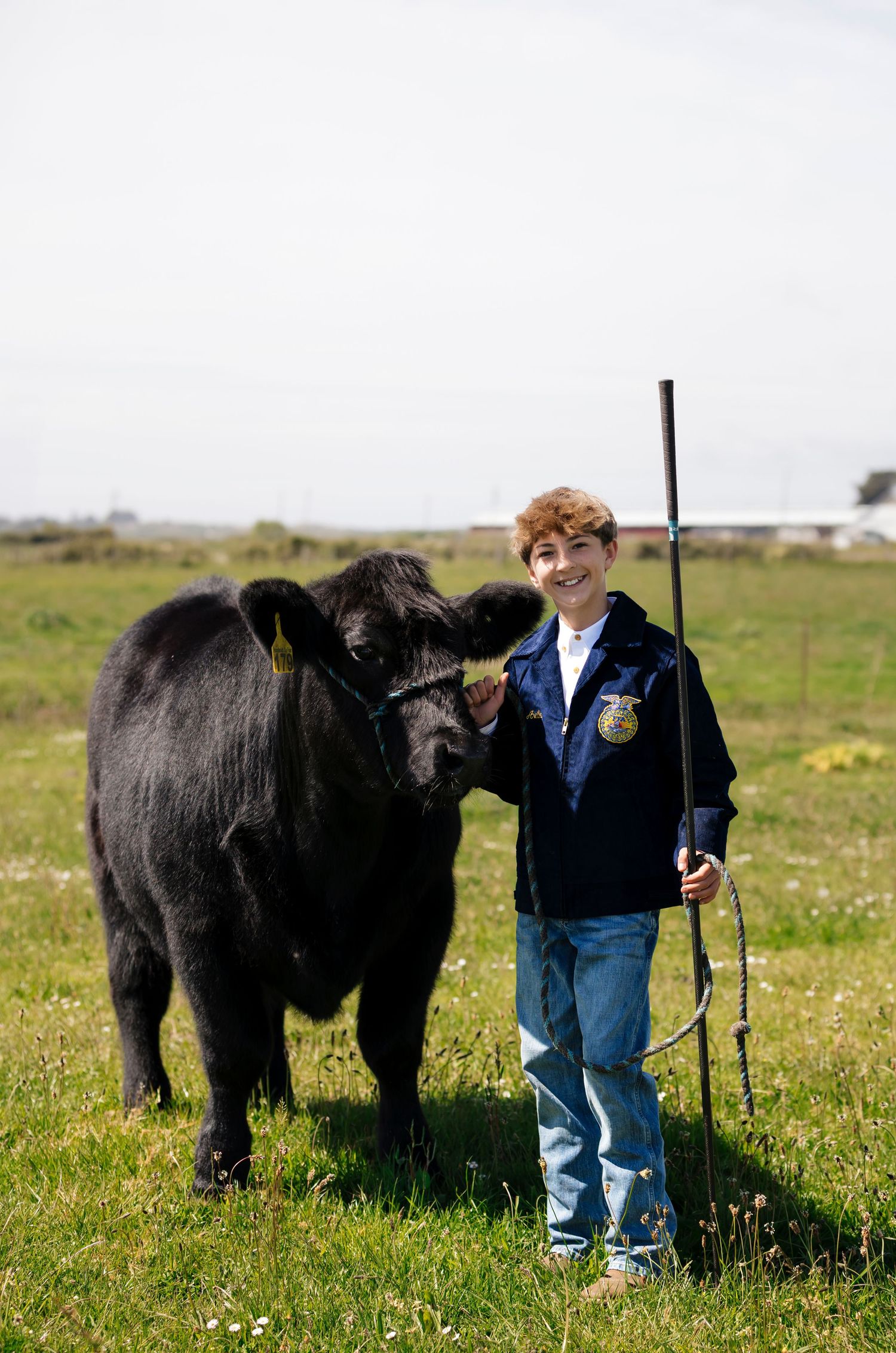 Young 4-H member in blue jacket stands with black show cow in grassy field.