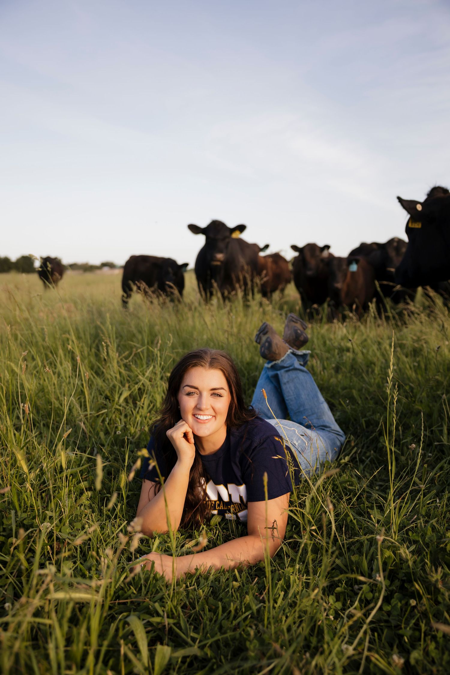 Senior lying in tall grass with a herd of black cattle grazing in the distance.