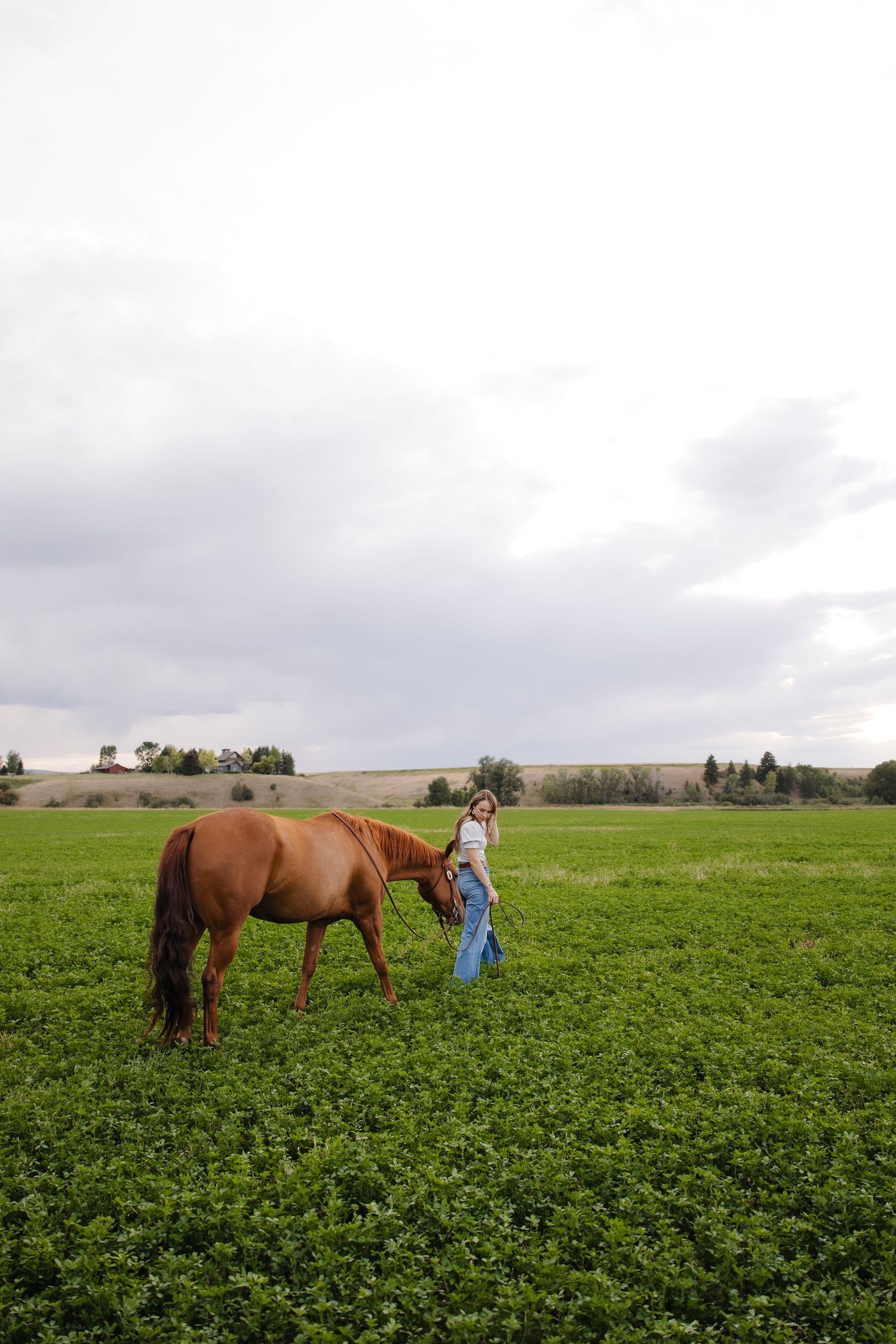 A horse and companion explore a vast green agricultural field on an overcast day.