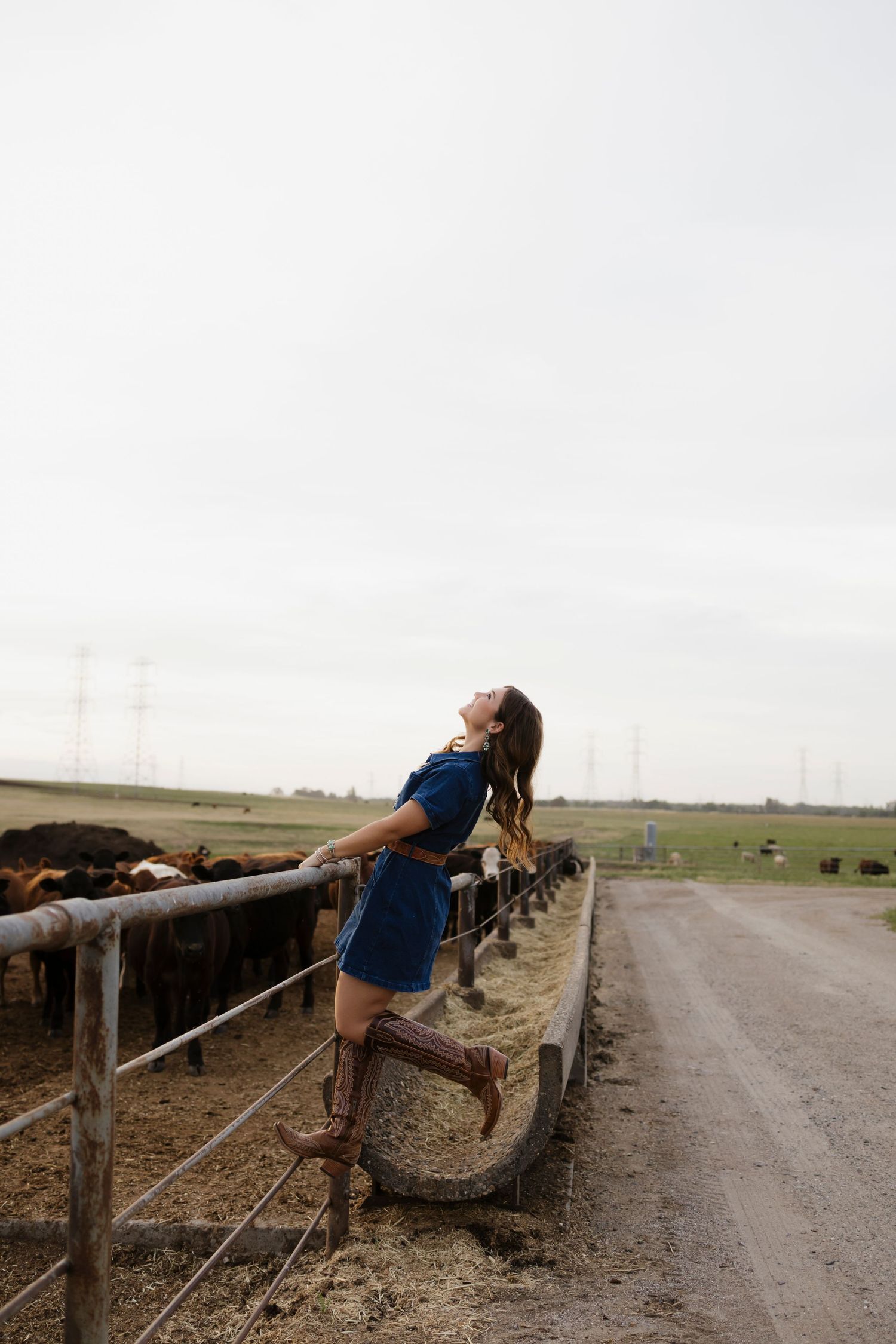 Woman in blue dress and cowboy boots leaning on farm fence with cattle grazing in background.