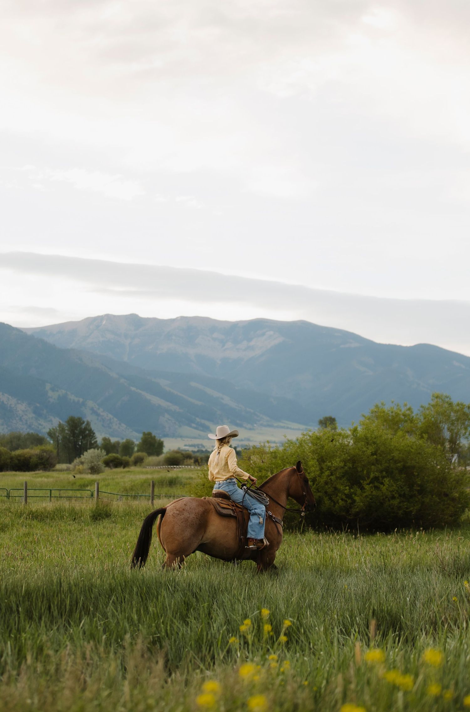 A cowboy rides a brown horse through a lush green meadow with mountain views in the background.