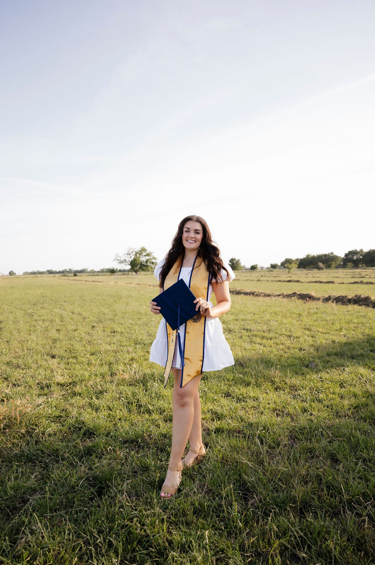 Playful movement captured in a grassy field during golden hour.