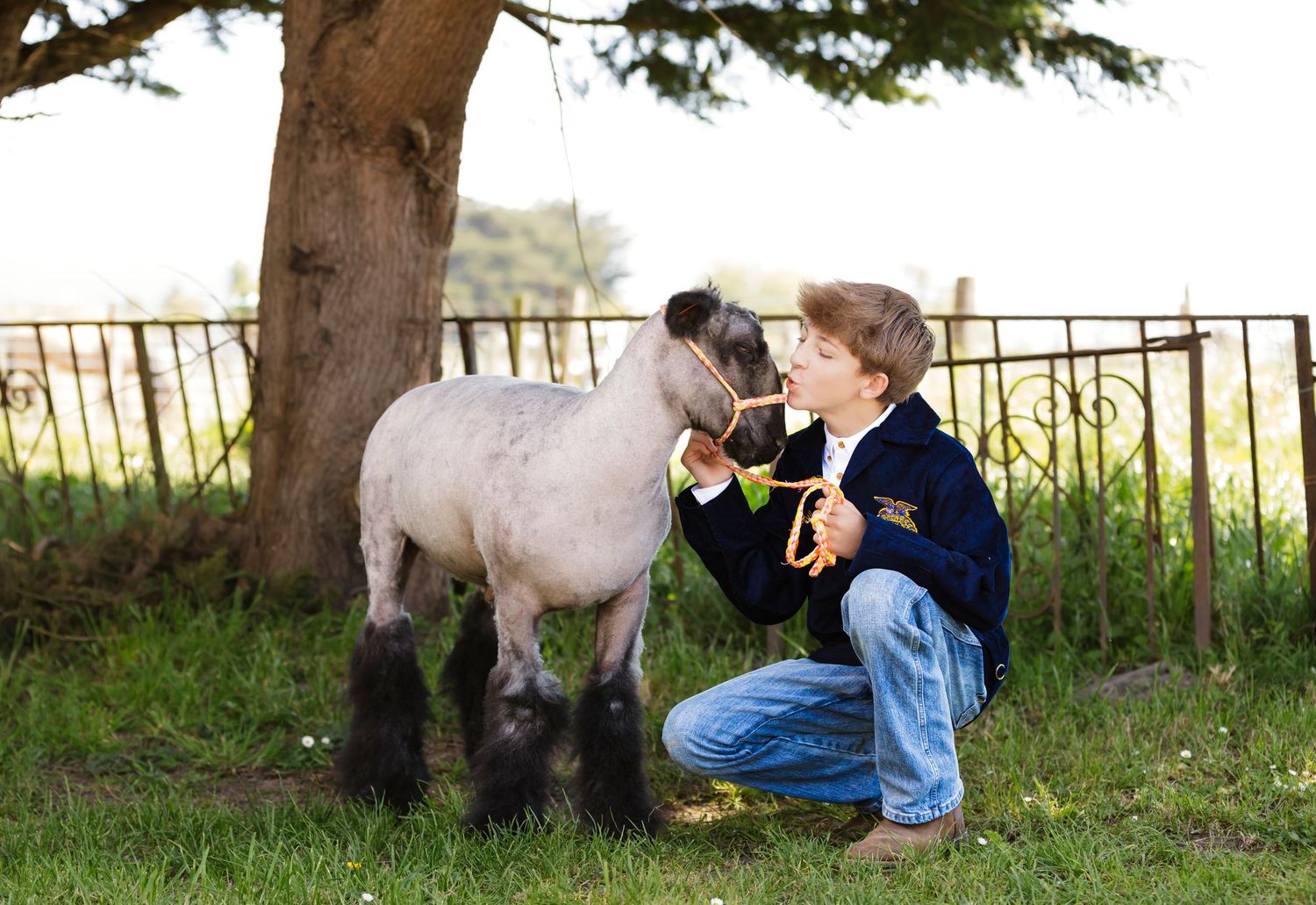 A pig and handler rest under large trees near an iron fence.