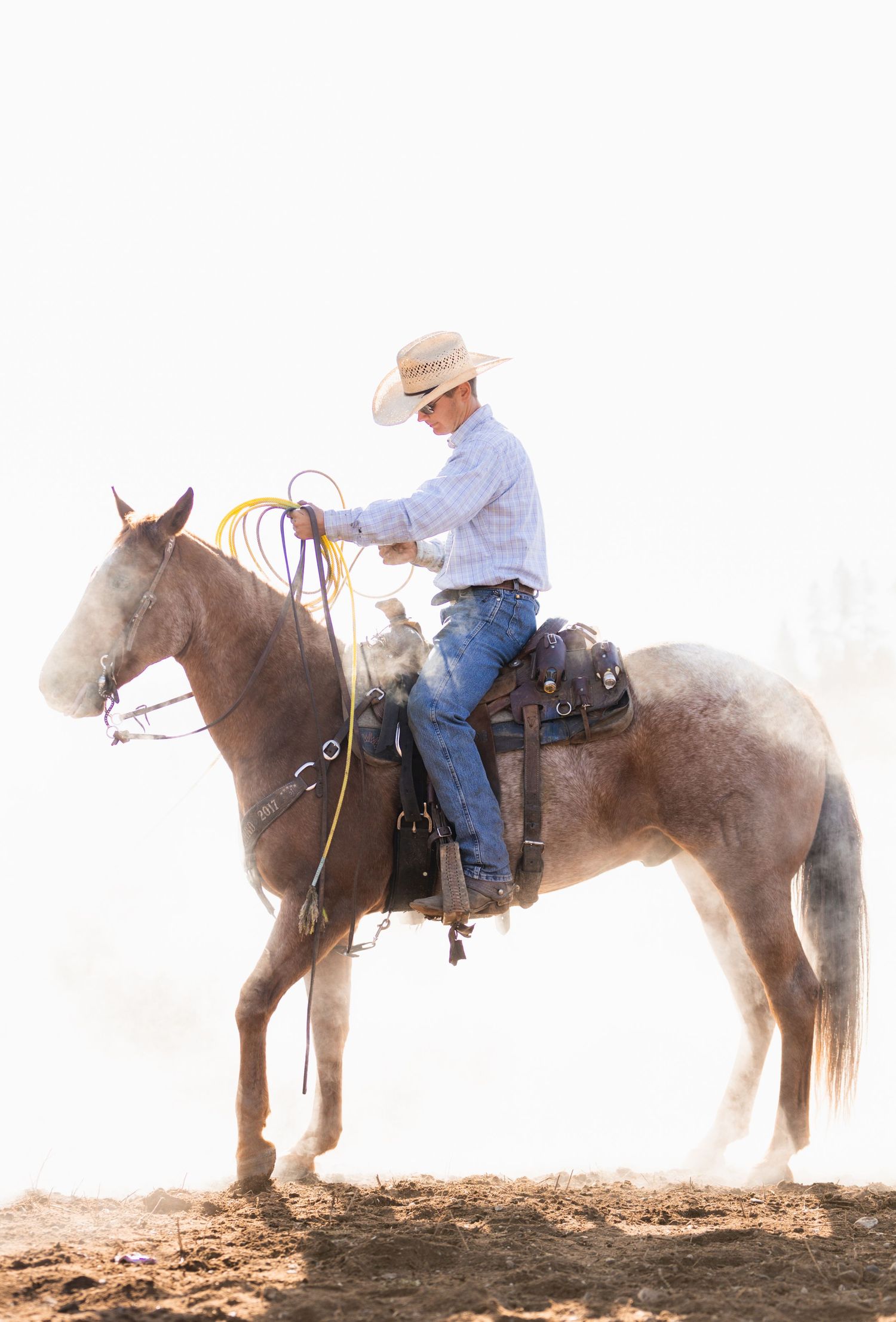 Cowboy on horseback handling rope in dusty arena during golden hour.