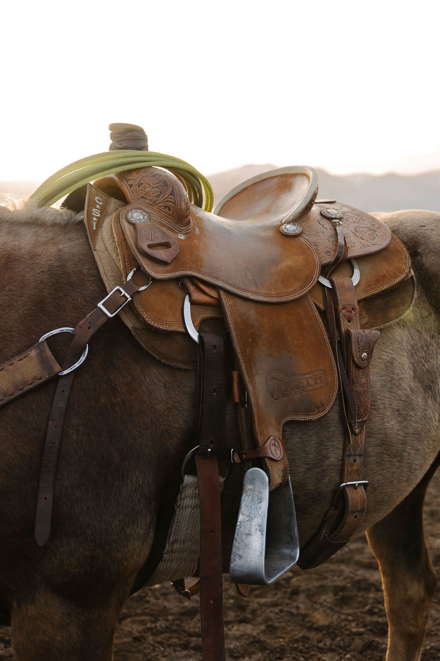 Close-up of a brown leather western saddle with metal stirrups and green rope on a horse at sunset.