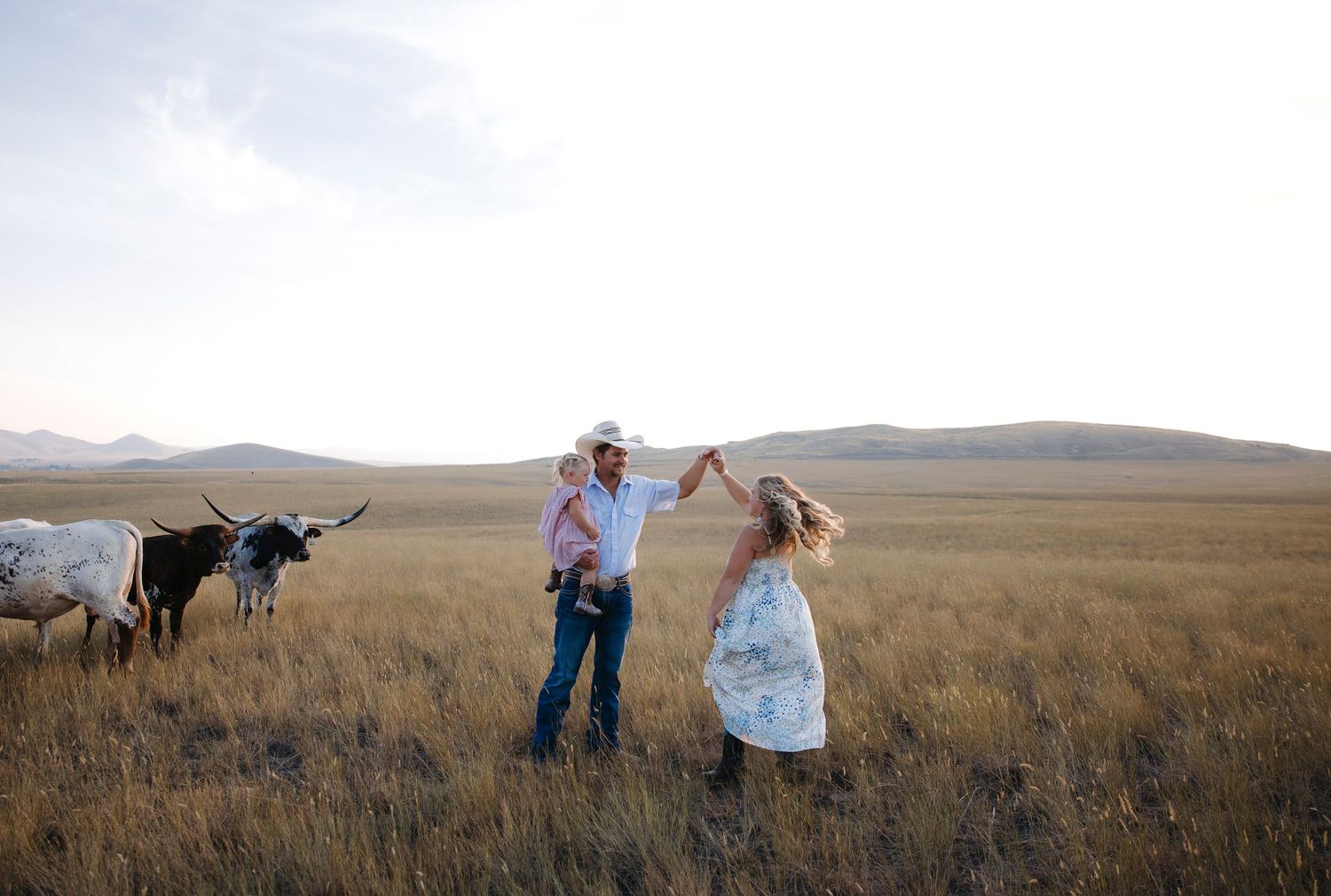 Couple dancing in golden prairie field with longhorn cattle and mountains in background at sunset.